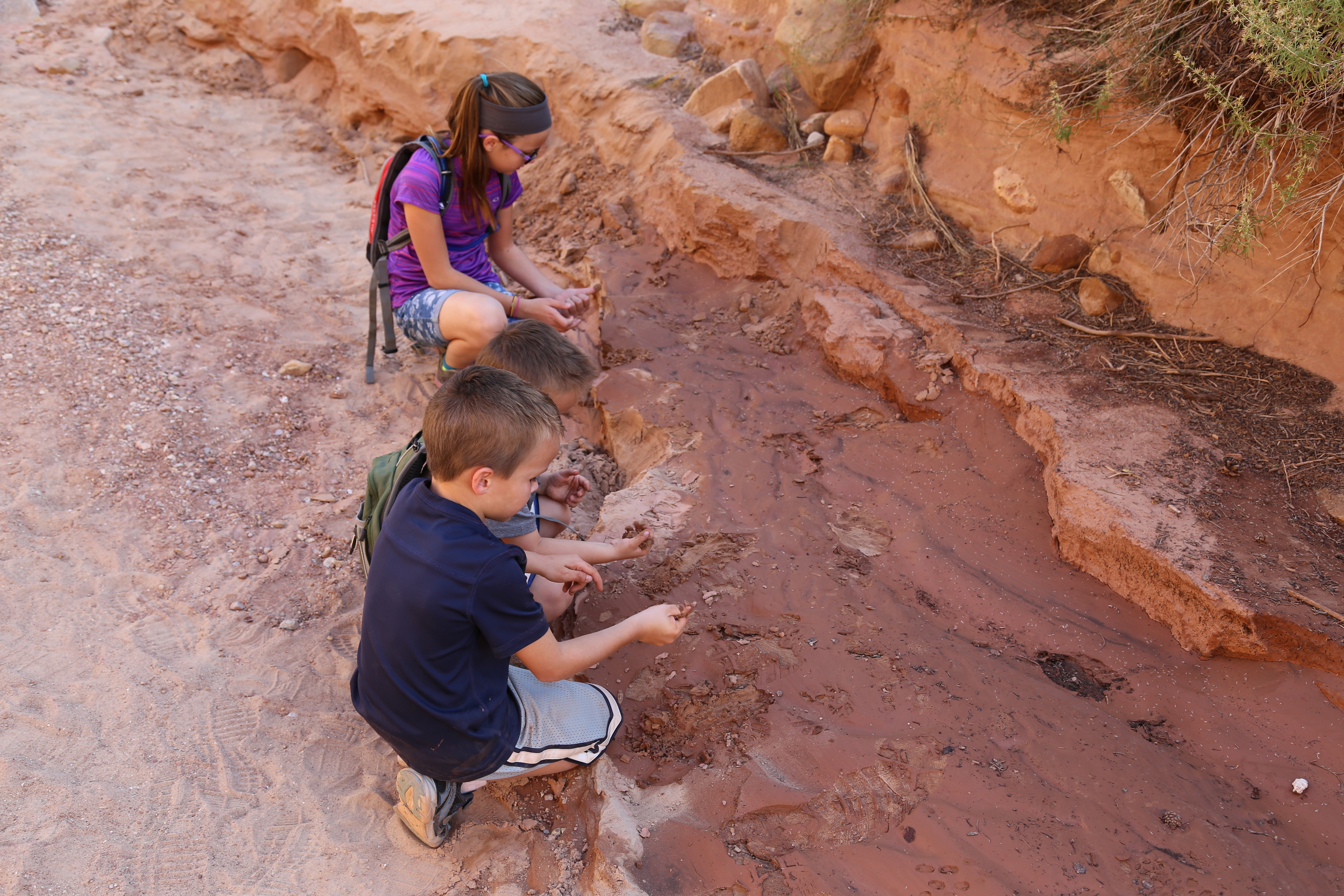 2015 Fall Break - Day 2 - Capitol Reef National Park (Grand Wash Narrows, Capitol Gorge (Petroglyphs, Narrows, Pioneer Register), Waterpocket Fold Drive (Notom-Bullfrog Road, Burr Trail Road), Hell's Backbone Grill (Boulder, Utah))