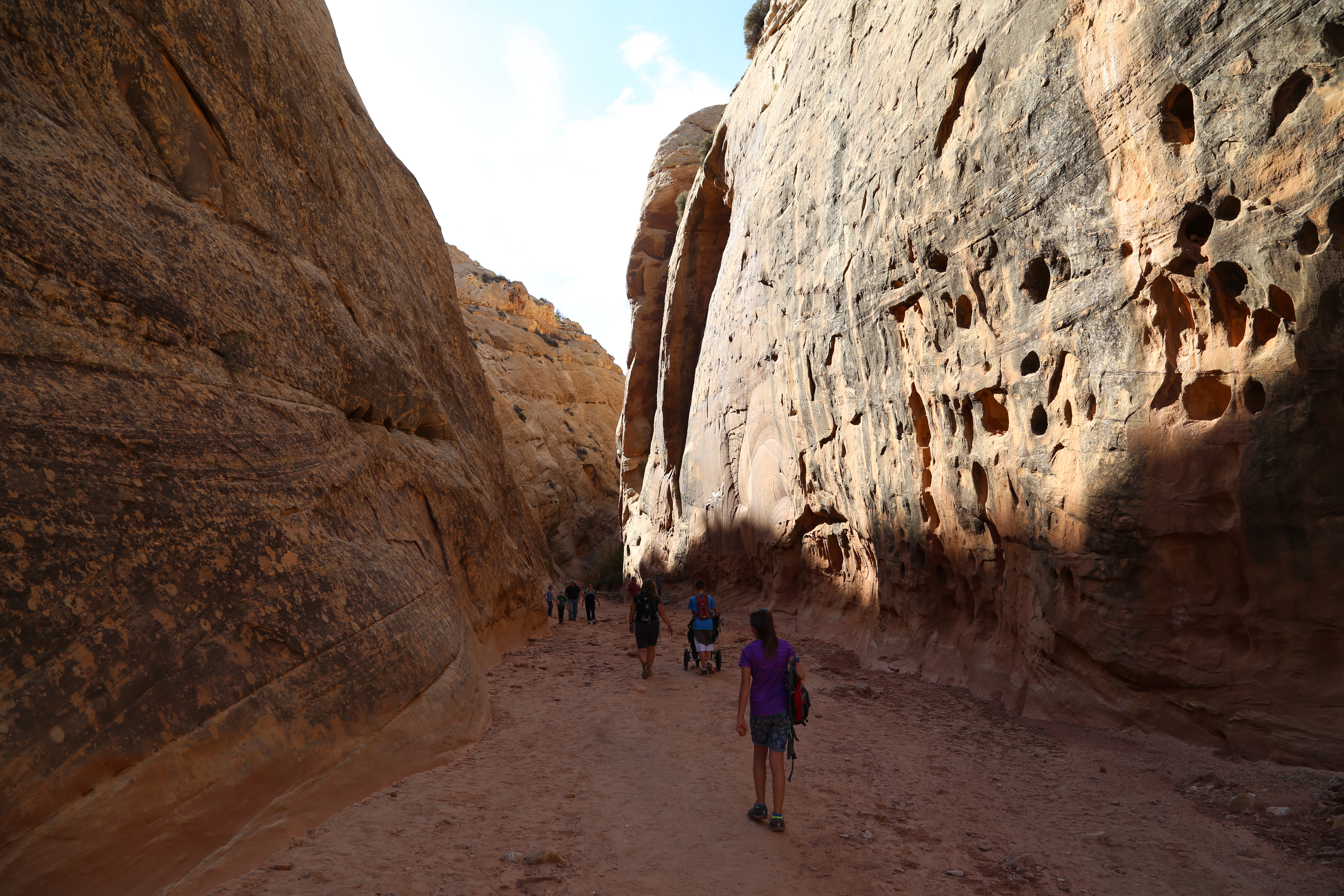 2015 Fall Break - Day 2 - Capitol Reef National Park (Grand Wash Narrows, Capitol Gorge (Petroglyphs, Narrows, Pioneer Register), Waterpocket Fold Drive (Notom-Bullfrog Road, Burr Trail Road), Hell's Backbone Grill (Boulder, Utah))