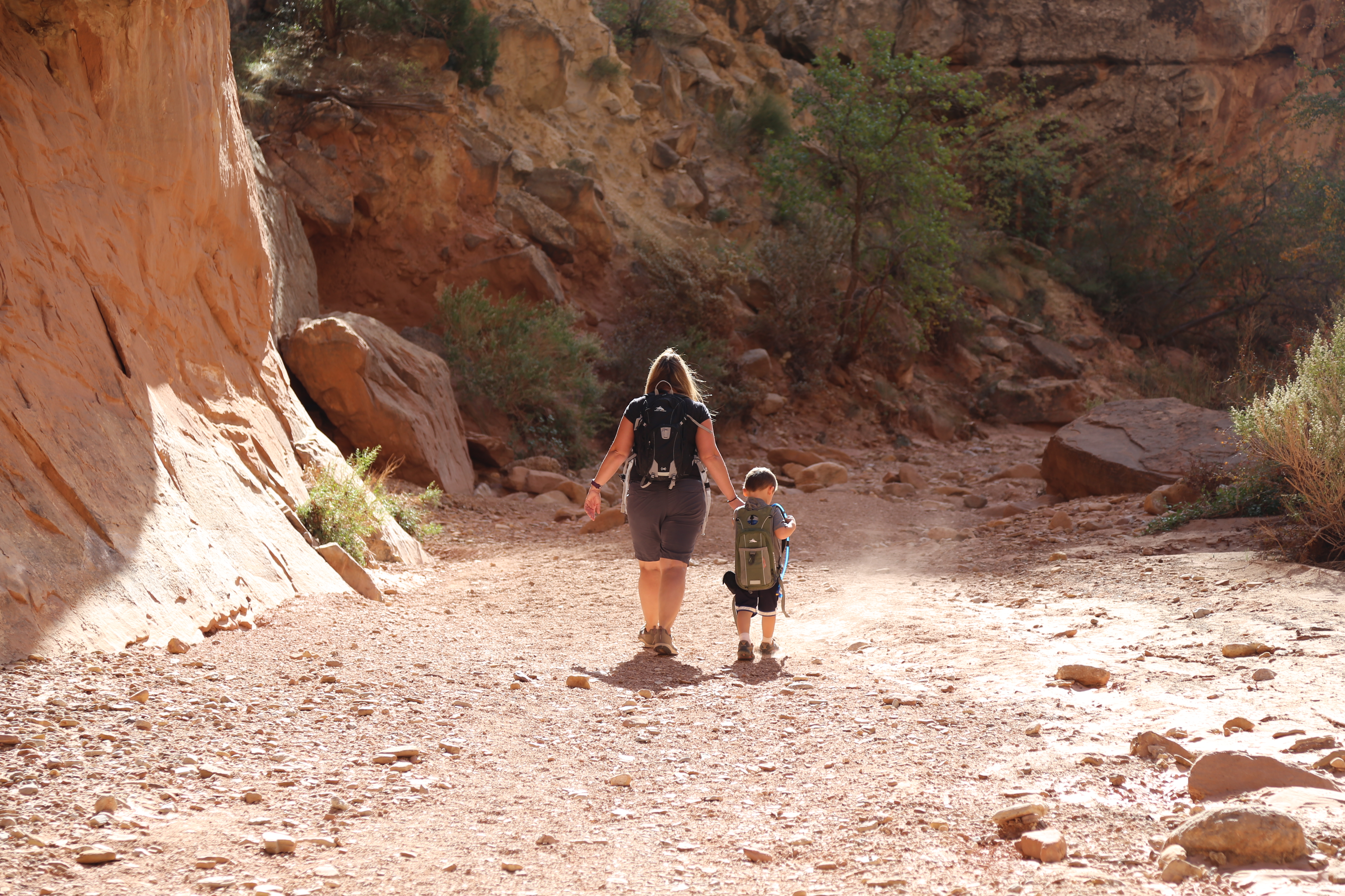 2015 Fall Break - Day 2 - Capitol Reef National Park (Grand Wash Narrows, Capitol Gorge (Petroglyphs, Narrows, Pioneer Register), Waterpocket Fold Drive (Notom-Bullfrog Road, Burr Trail Road), Hell's Backbone Grill (Boulder, Utah))