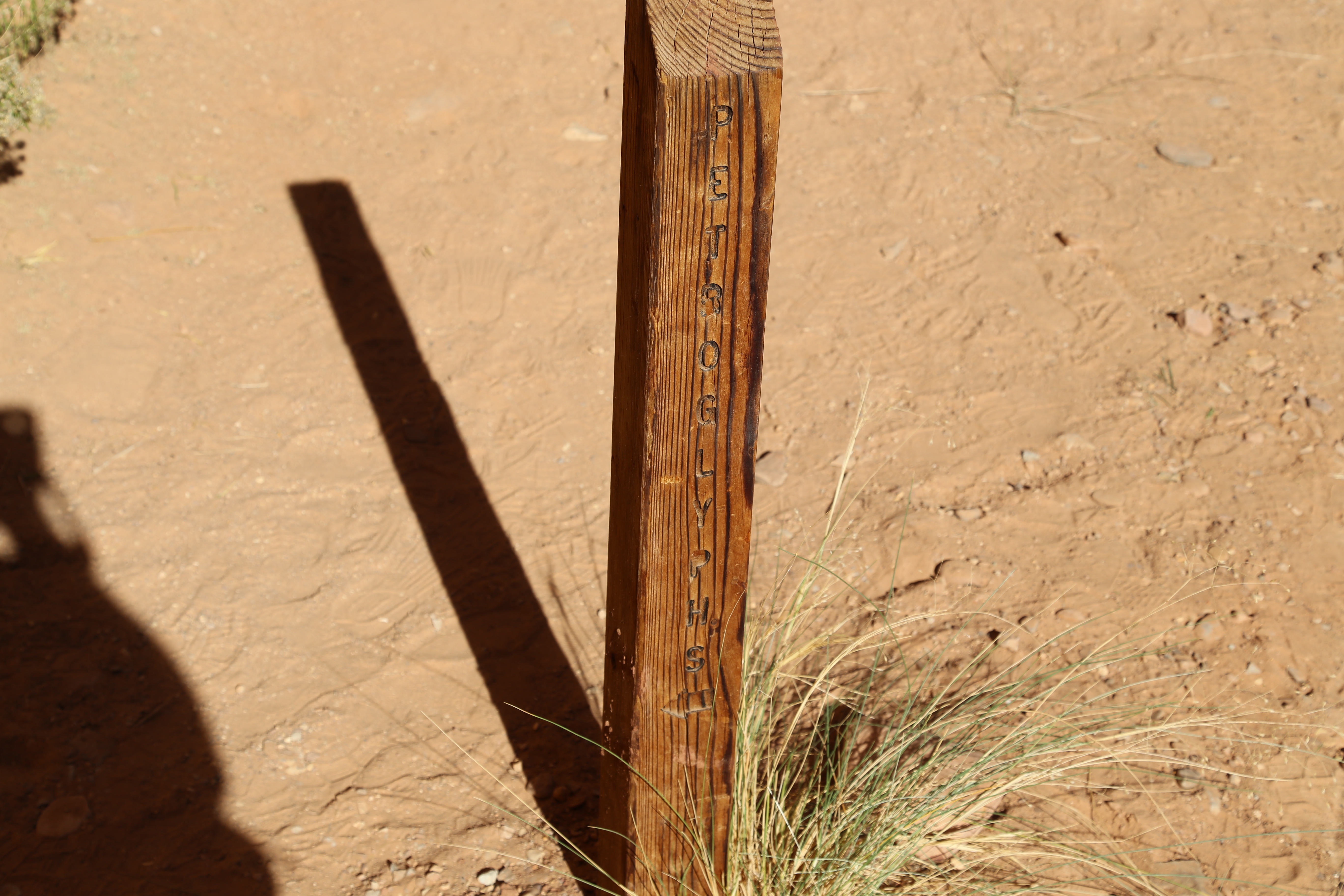 2015 Fall Break - Day 2 - Capitol Reef National Park (Grand Wash Narrows, Capitol Gorge (Petroglyphs, Narrows, Pioneer Register), Waterpocket Fold Drive (Notom-Bullfrog Road, Burr Trail Road), Hell's Backbone Grill (Boulder, Utah))