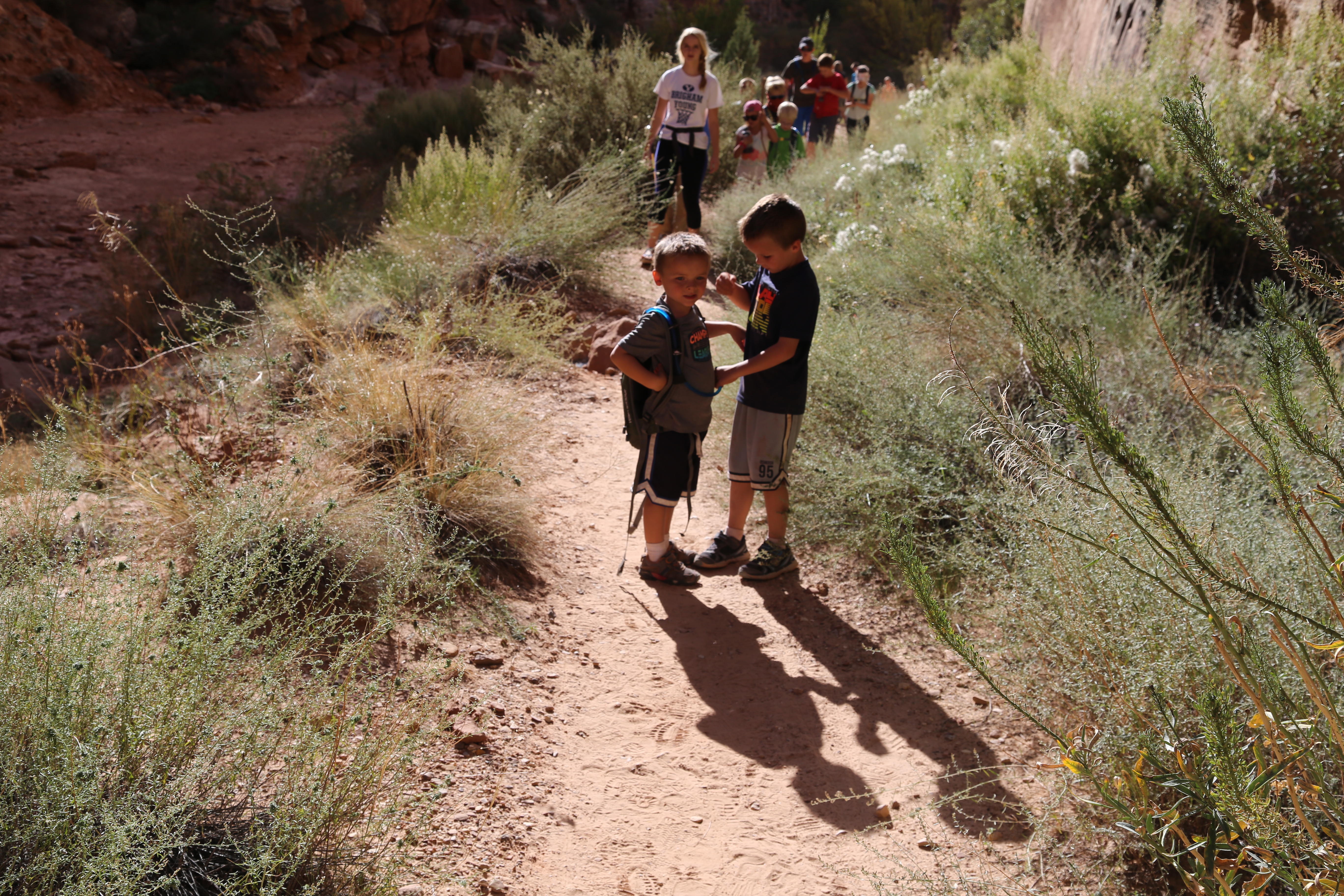 2015 Fall Break - Day 2 - Capitol Reef National Park (Grand Wash Narrows, Capitol Gorge (Petroglyphs, Narrows, Pioneer Register), Waterpocket Fold Drive (Notom-Bullfrog Road, Burr Trail Road), Hell's Backbone Grill (Boulder, Utah))