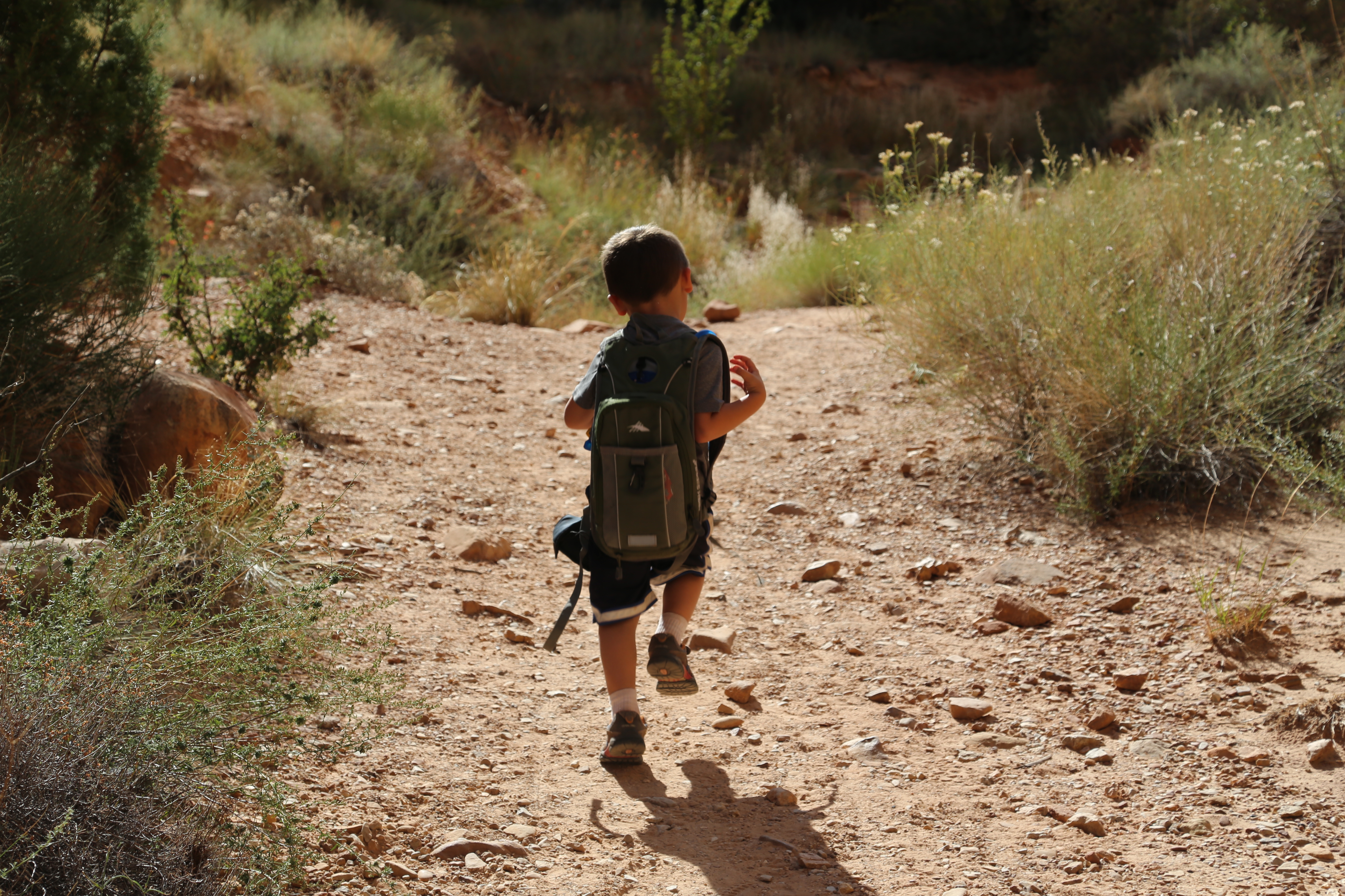 2015 Fall Break - Day 2 - Capitol Reef National Park (Grand Wash Narrows, Capitol Gorge (Petroglyphs, Narrows, Pioneer Register), Waterpocket Fold Drive (Notom-Bullfrog Road, Burr Trail Road), Hell's Backbone Grill (Boulder, Utah))