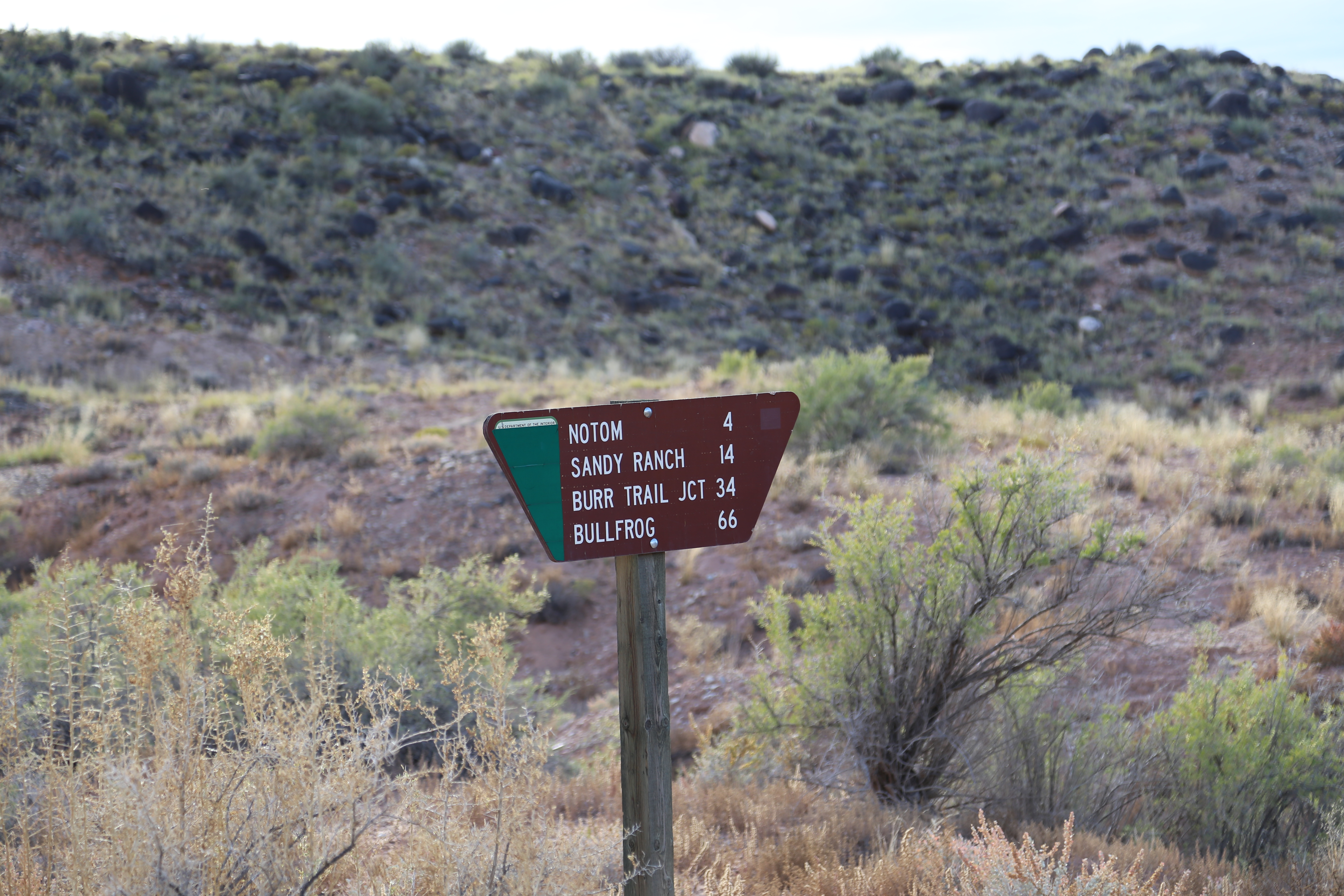 2015 Fall Break - Day 2 - Capitol Reef National Park (Grand Wash Narrows, Capitol Gorge (Petroglyphs, Narrows, Pioneer Register), Waterpocket Fold Drive (Notom-Bullfrog Road, Burr Trail Road), Hell's Backbone Grill (Boulder, Utah))