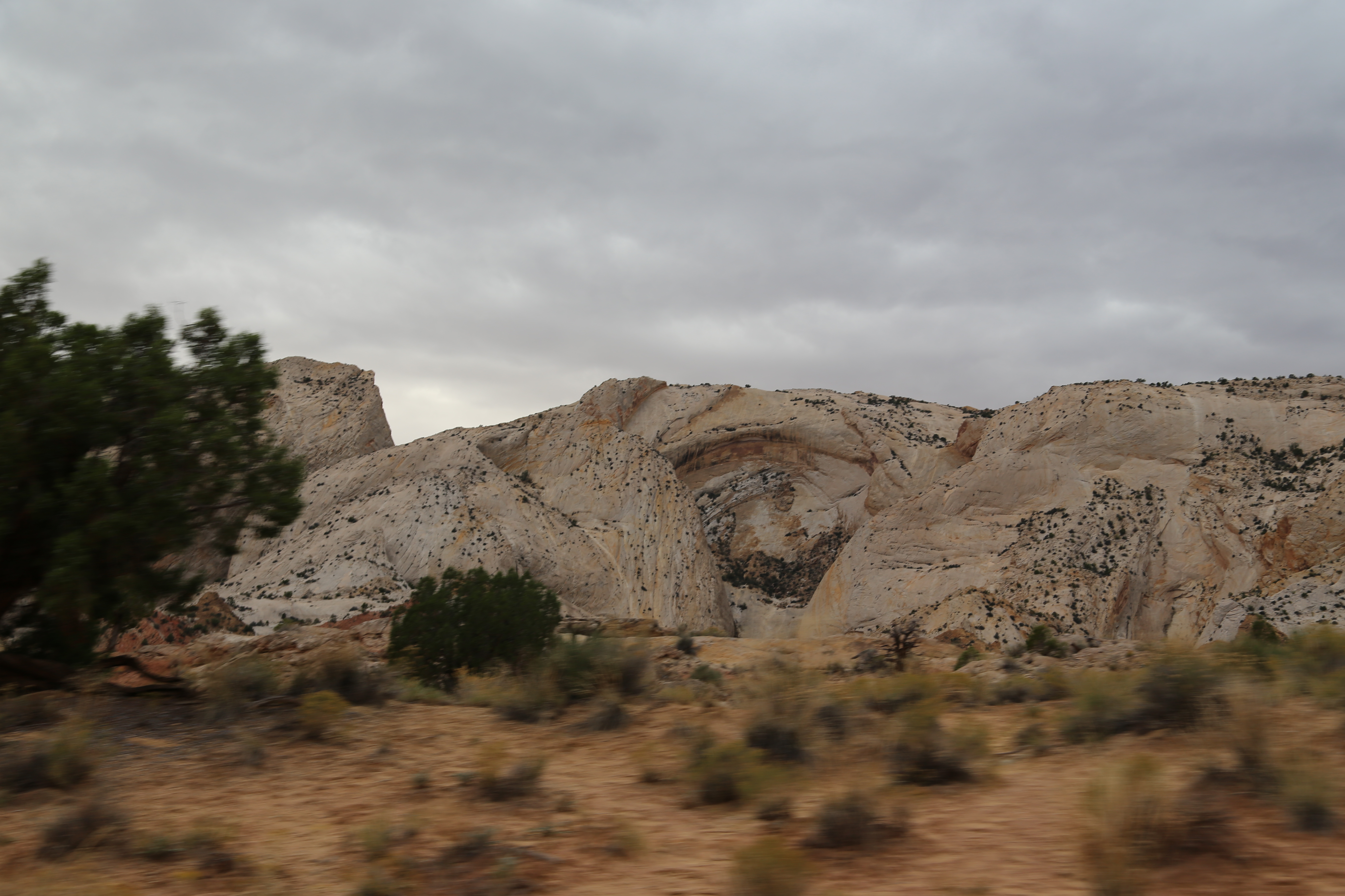 2015 Fall Break - Day 2 - Capitol Reef National Park (Grand Wash Narrows, Capitol Gorge (Petroglyphs, Narrows, Pioneer Register), Waterpocket Fold Drive (Notom-Bullfrog Road, Burr Trail Road), Hell's Backbone Grill (Boulder, Utah))