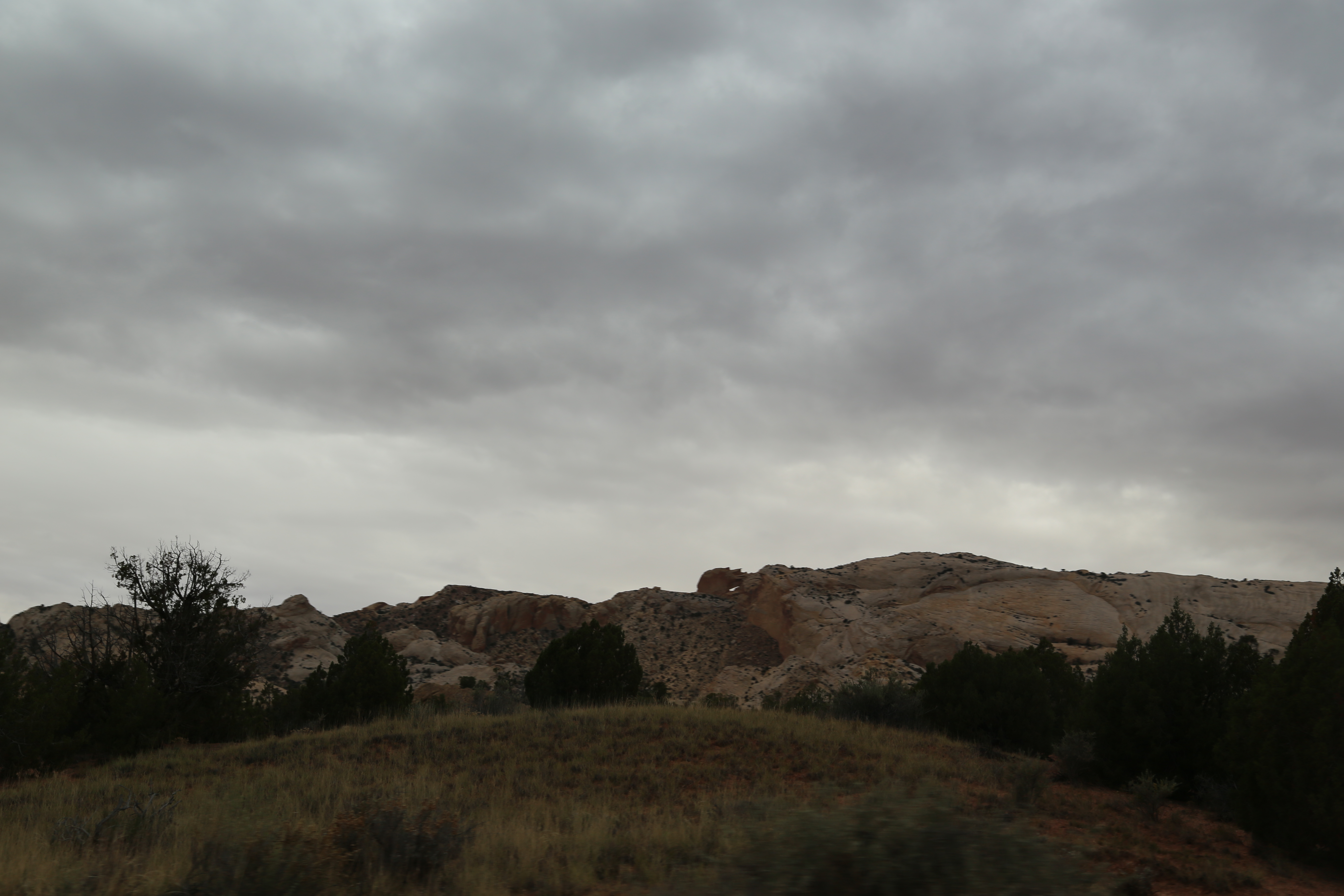 2015 Fall Break - Day 2 - Capitol Reef National Park (Grand Wash Narrows, Capitol Gorge (Petroglyphs, Narrows, Pioneer Register), Waterpocket Fold Drive (Notom-Bullfrog Road, Burr Trail Road), Hell's Backbone Grill (Boulder, Utah))