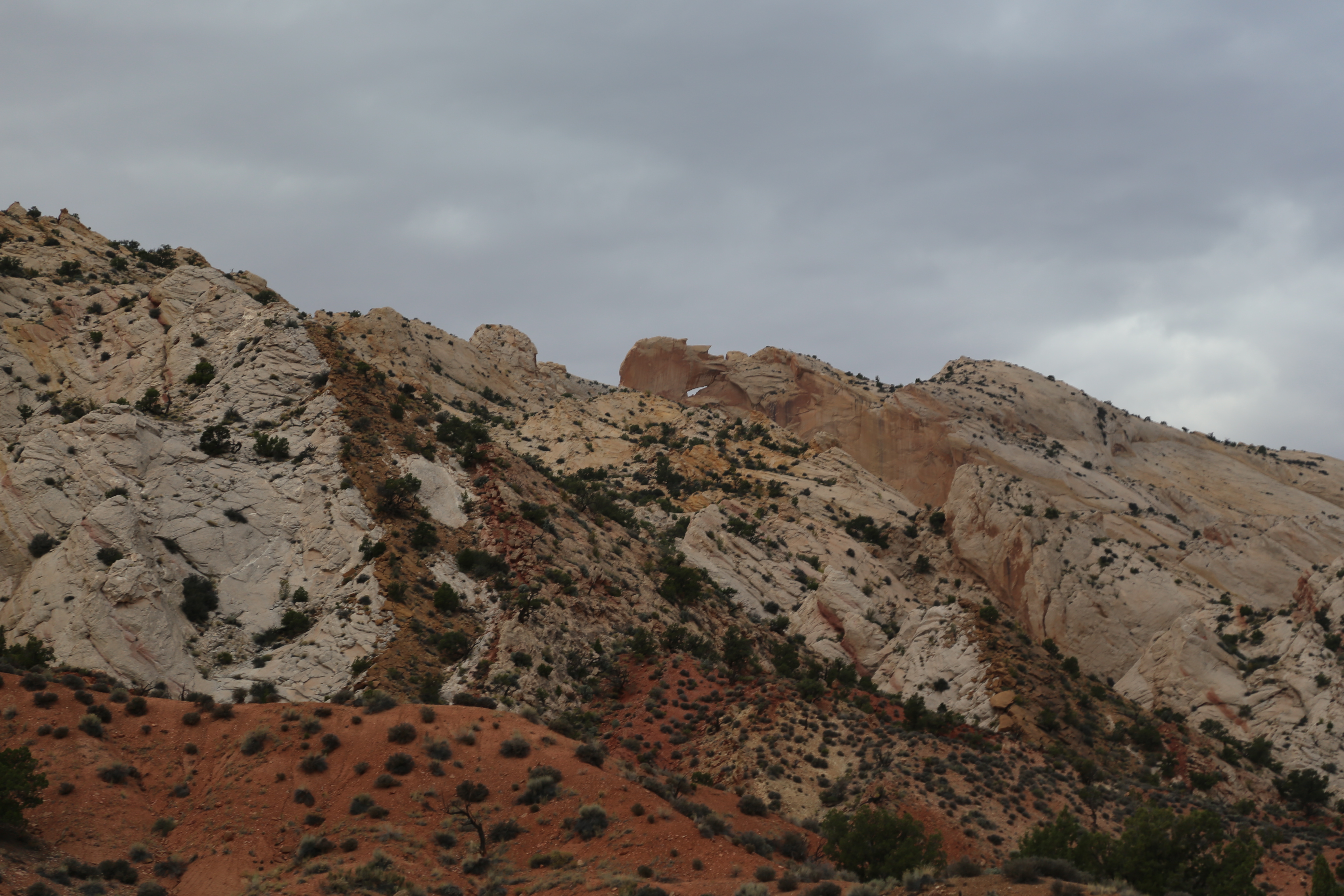 2015 Fall Break - Day 2 - Capitol Reef National Park (Grand Wash Narrows, Capitol Gorge (Petroglyphs, Narrows, Pioneer Register), Waterpocket Fold Drive (Notom-Bullfrog Road, Burr Trail Road), Hell's Backbone Grill (Boulder, Utah))