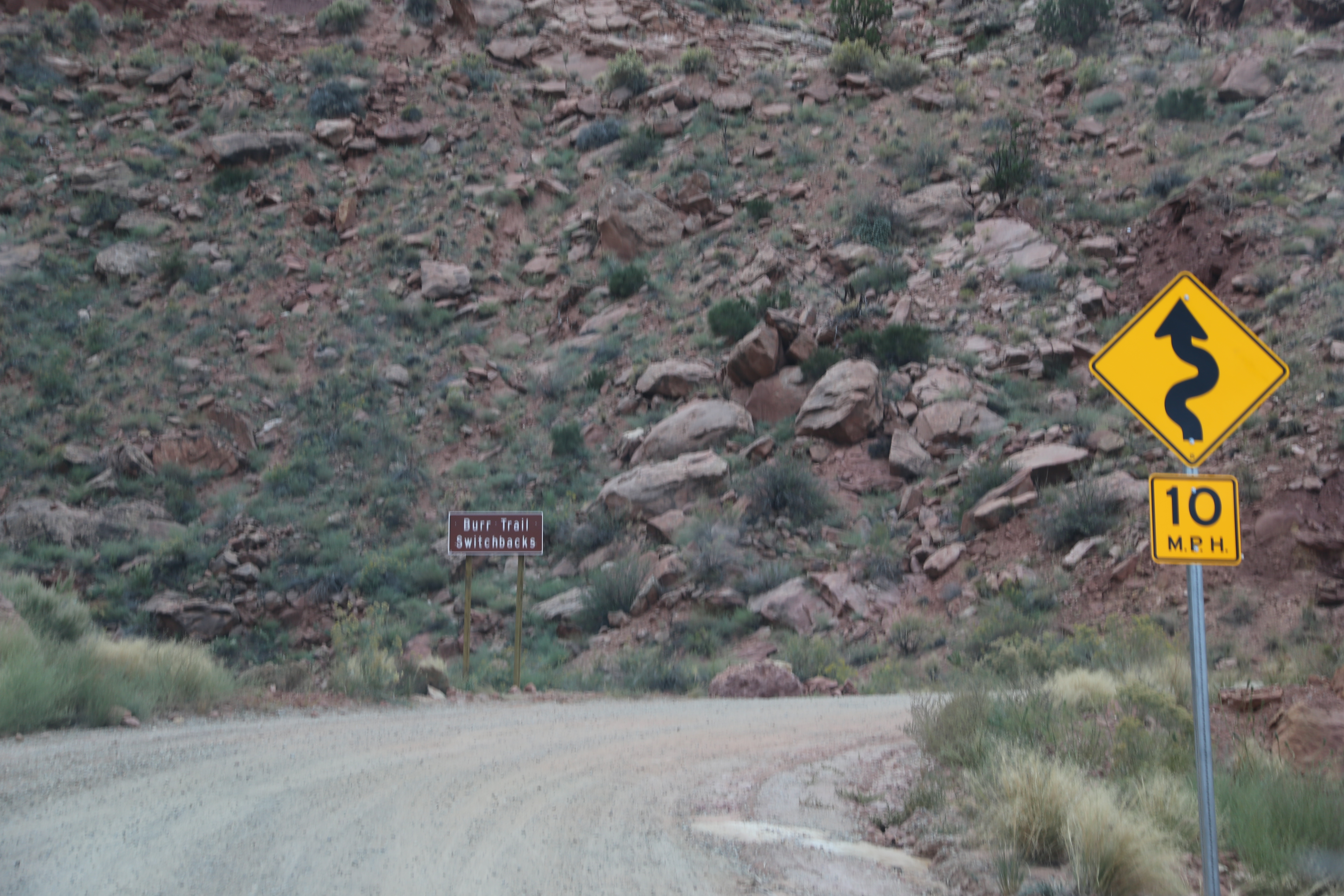 2015 Fall Break - Day 2 - Capitol Reef National Park (Grand Wash Narrows, Capitol Gorge (Petroglyphs, Narrows, Pioneer Register), Waterpocket Fold Drive (Notom-Bullfrog Road, Burr Trail Road), Hell's Backbone Grill (Boulder, Utah))