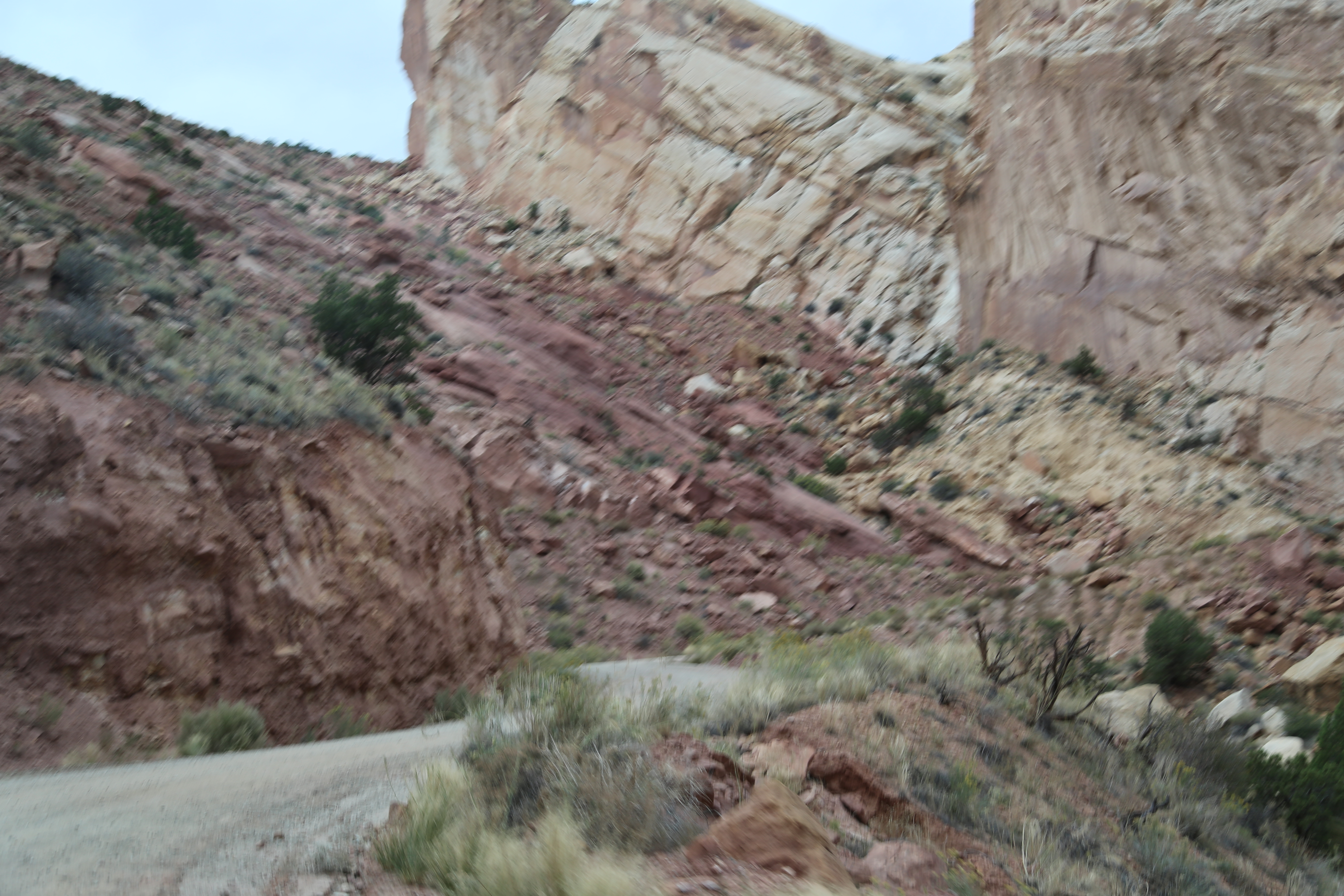 2015 Fall Break - Day 2 - Capitol Reef National Park (Grand Wash Narrows, Capitol Gorge (Petroglyphs, Narrows, Pioneer Register), Waterpocket Fold Drive (Notom-Bullfrog Road, Burr Trail Road), Hell's Backbone Grill (Boulder, Utah))