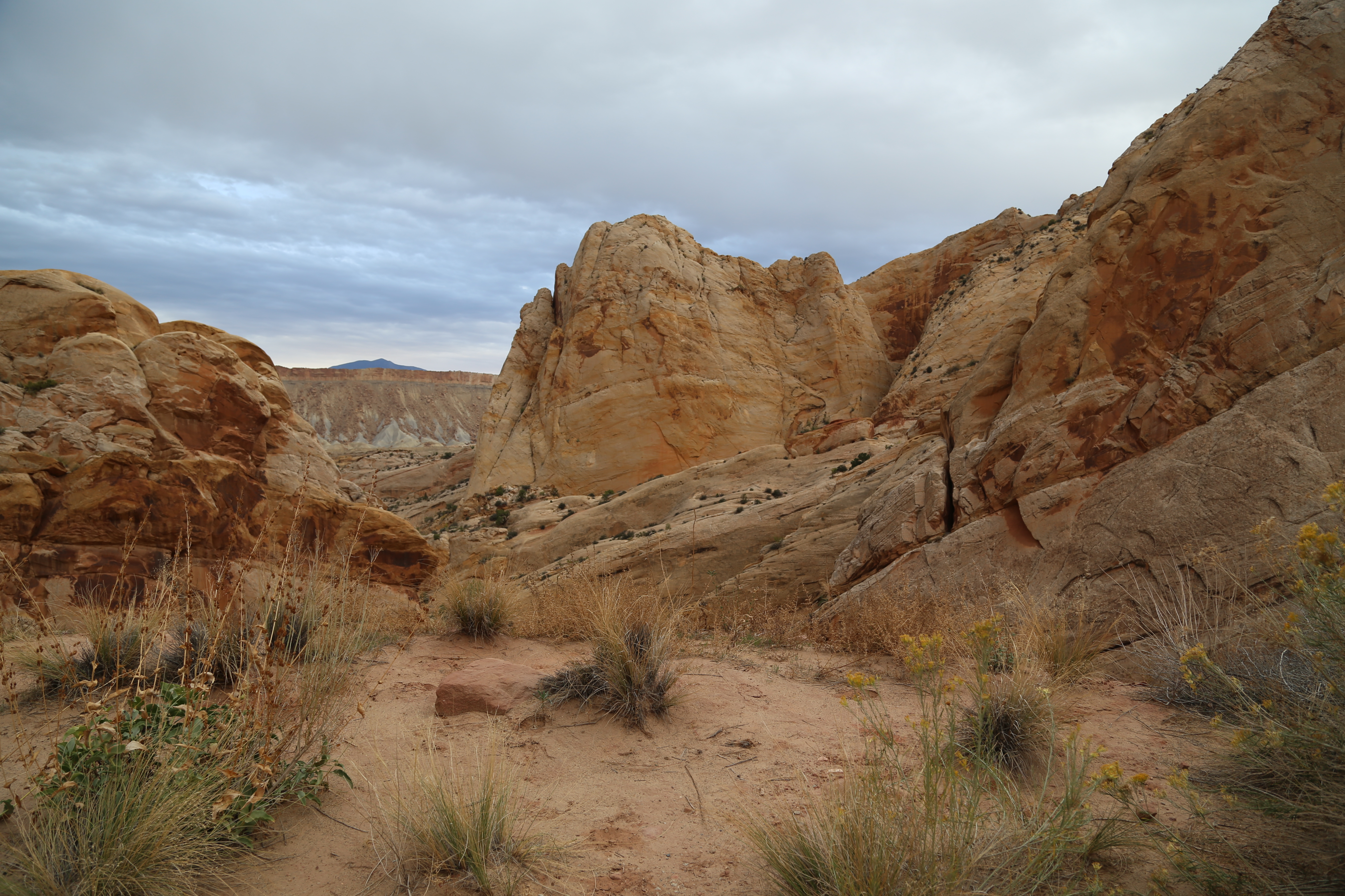 2015 Fall Break - Day 2 - Capitol Reef National Park (Grand Wash Narrows, Capitol Gorge (Petroglyphs, Narrows, Pioneer Register), Waterpocket Fold Drive (Notom-Bullfrog Road, Burr Trail Road), Hell's Backbone Grill (Boulder, Utah))