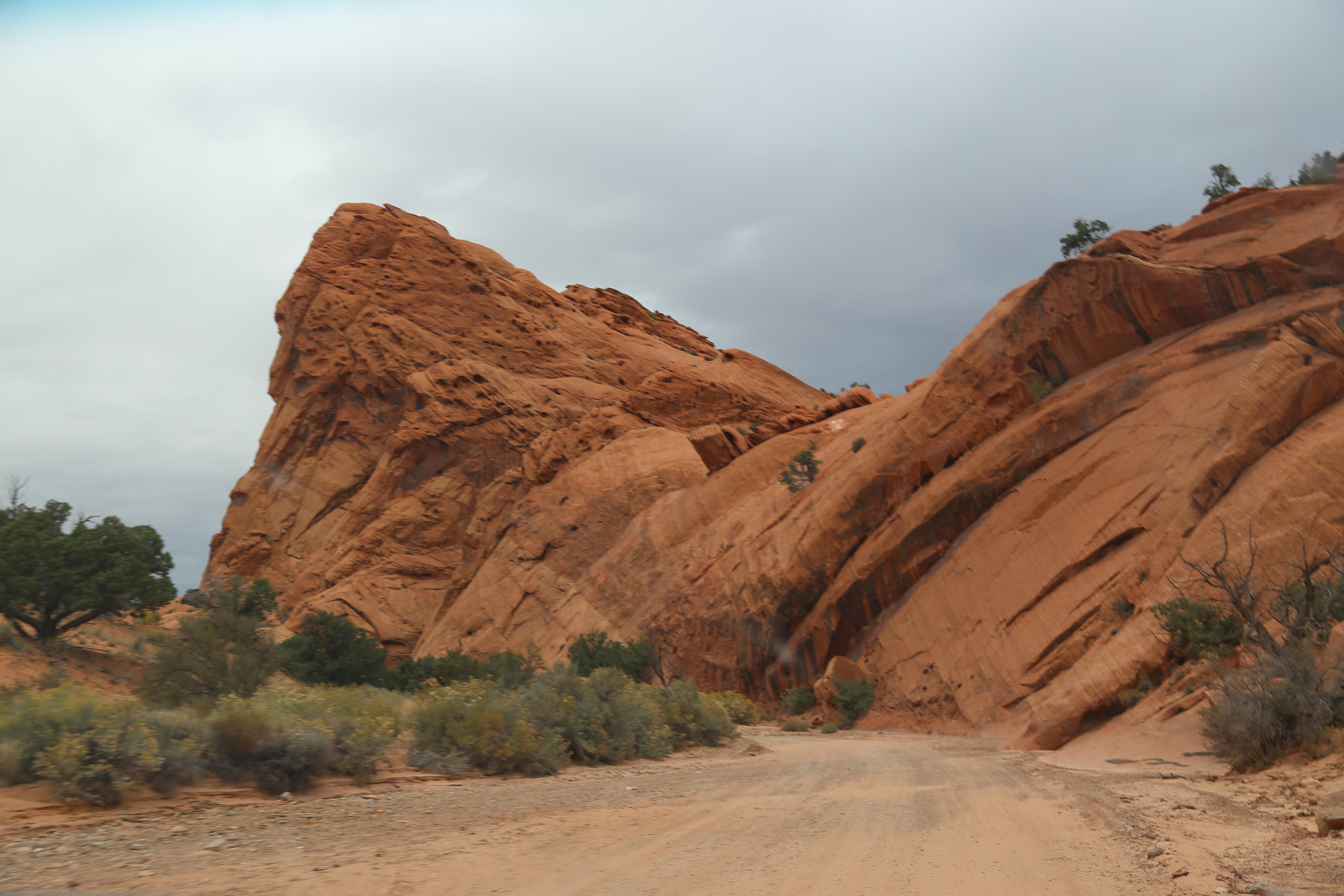 2015 Fall Break - Day 2 - Capitol Reef National Park (Grand Wash Narrows, Capitol Gorge (Petroglyphs, Narrows, Pioneer Register), Waterpocket Fold Drive (Notom-Bullfrog Road, Burr Trail Road), Hell's Backbone Grill (Boulder, Utah))