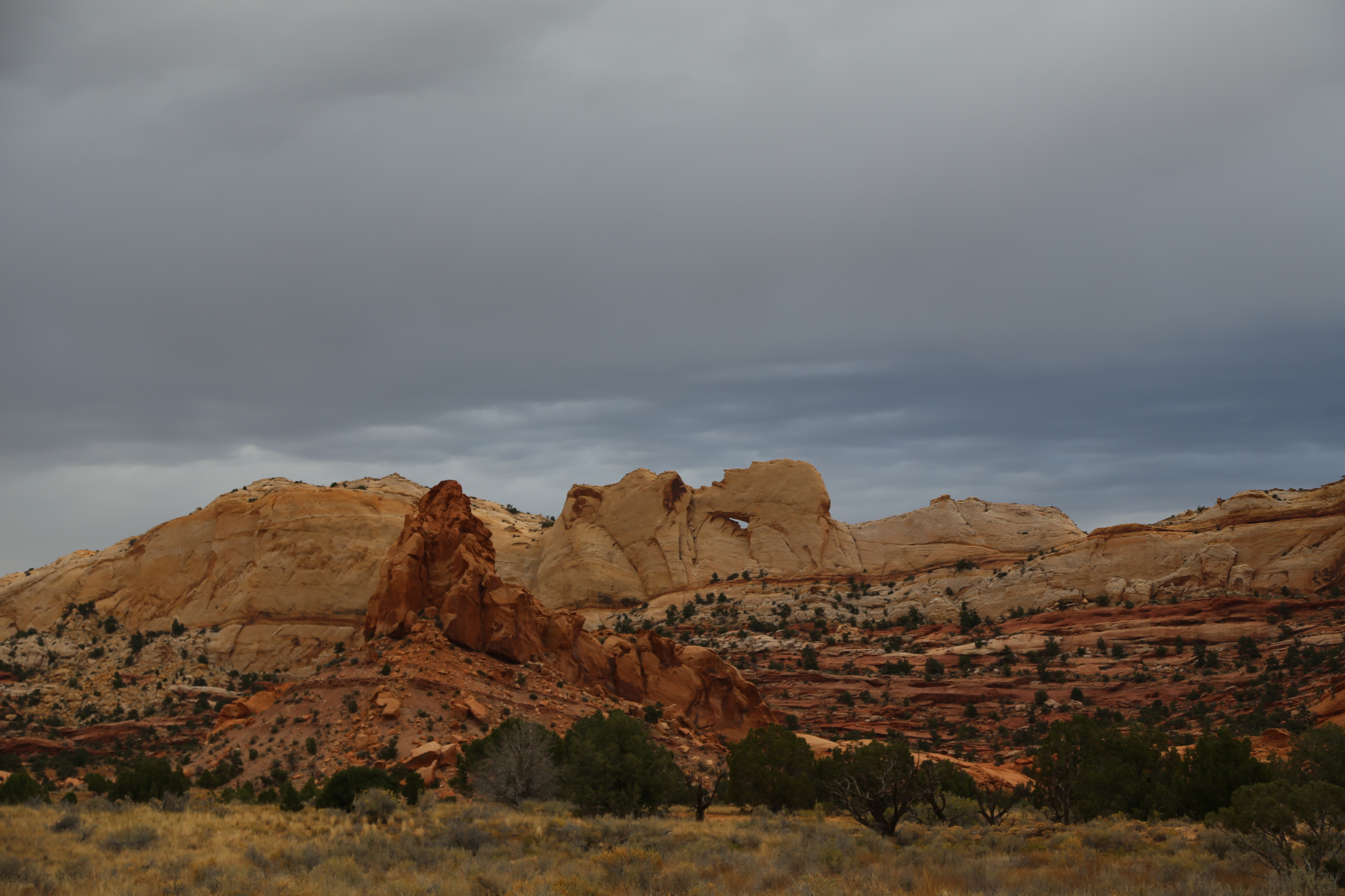 2015 Fall Break - Day 2 - Capitol Reef National Park (Grand Wash Narrows, Capitol Gorge (Petroglyphs, Narrows, Pioneer Register), Waterpocket Fold Drive (Notom-Bullfrog Road, Burr Trail Road), Hell's Backbone Grill (Boulder, Utah))