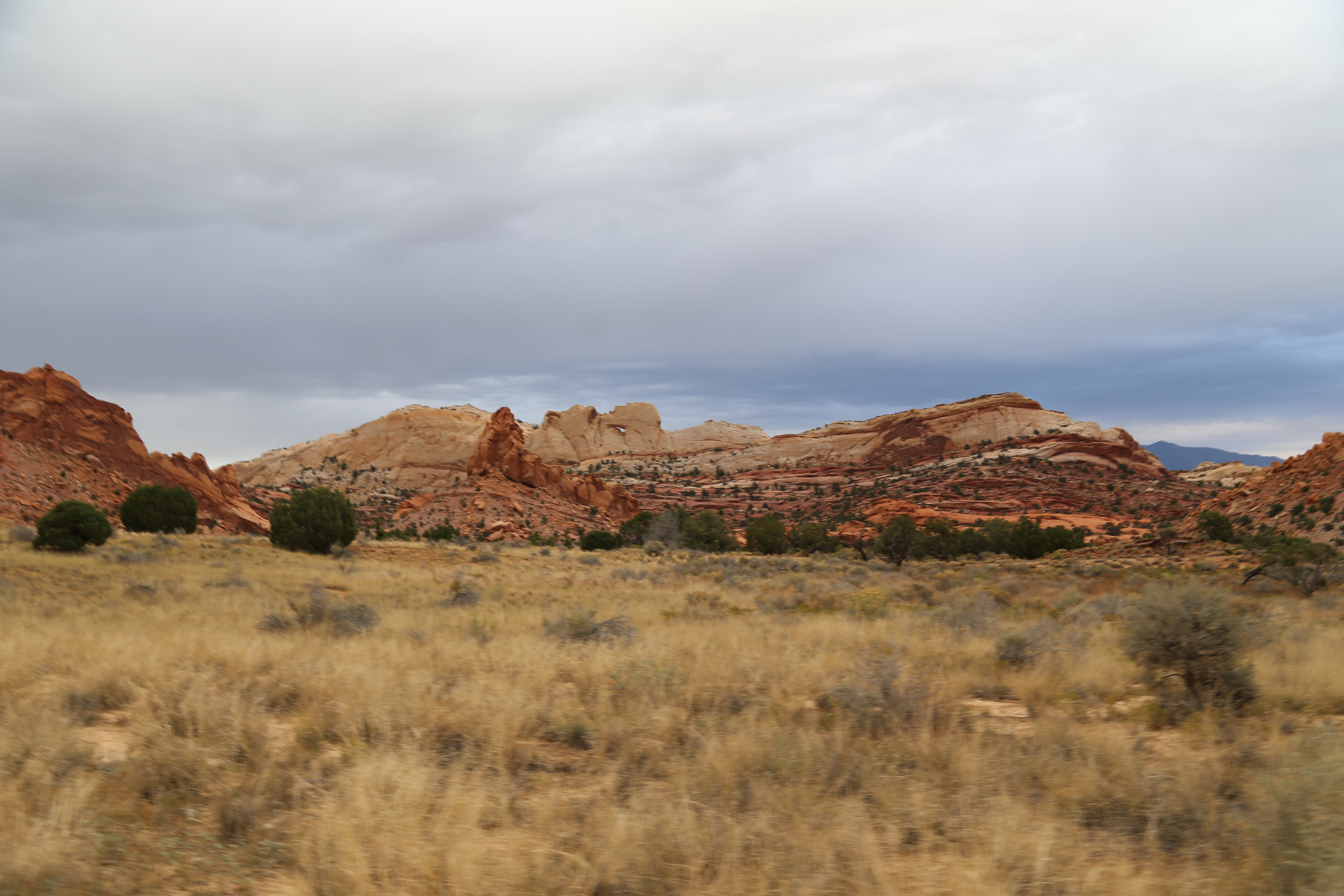 2015 Fall Break - Day 2 - Capitol Reef National Park (Grand Wash Narrows, Capitol Gorge (Petroglyphs, Narrows, Pioneer Register), Waterpocket Fold Drive (Notom-Bullfrog Road, Burr Trail Road), Hell's Backbone Grill (Boulder, Utah))