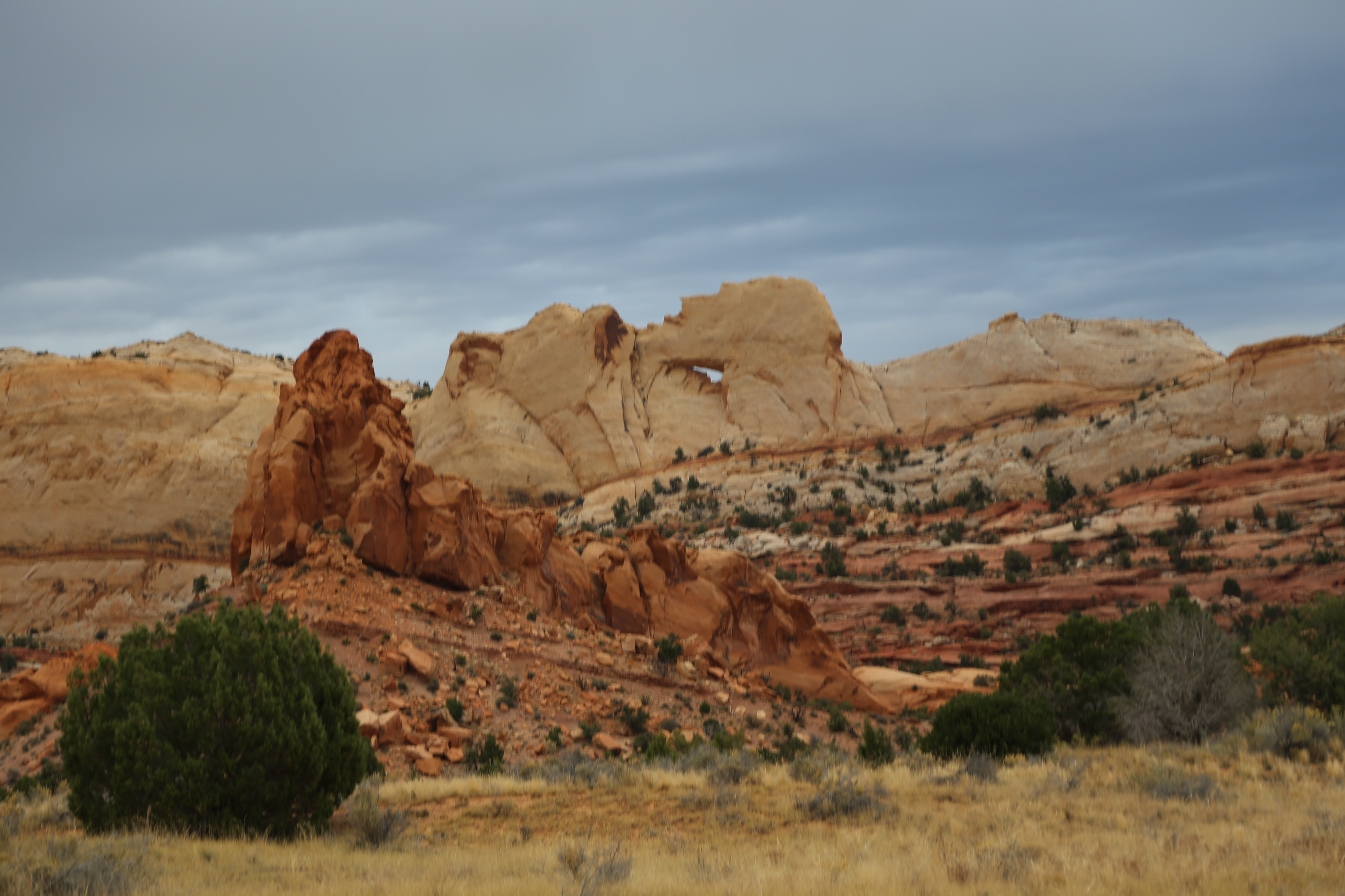 2015 Fall Break - Day 2 - Capitol Reef National Park (Grand Wash Narrows, Capitol Gorge (Petroglyphs, Narrows, Pioneer Register), Waterpocket Fold Drive (Notom-Bullfrog Road, Burr Trail Road), Hell's Backbone Grill (Boulder, Utah))