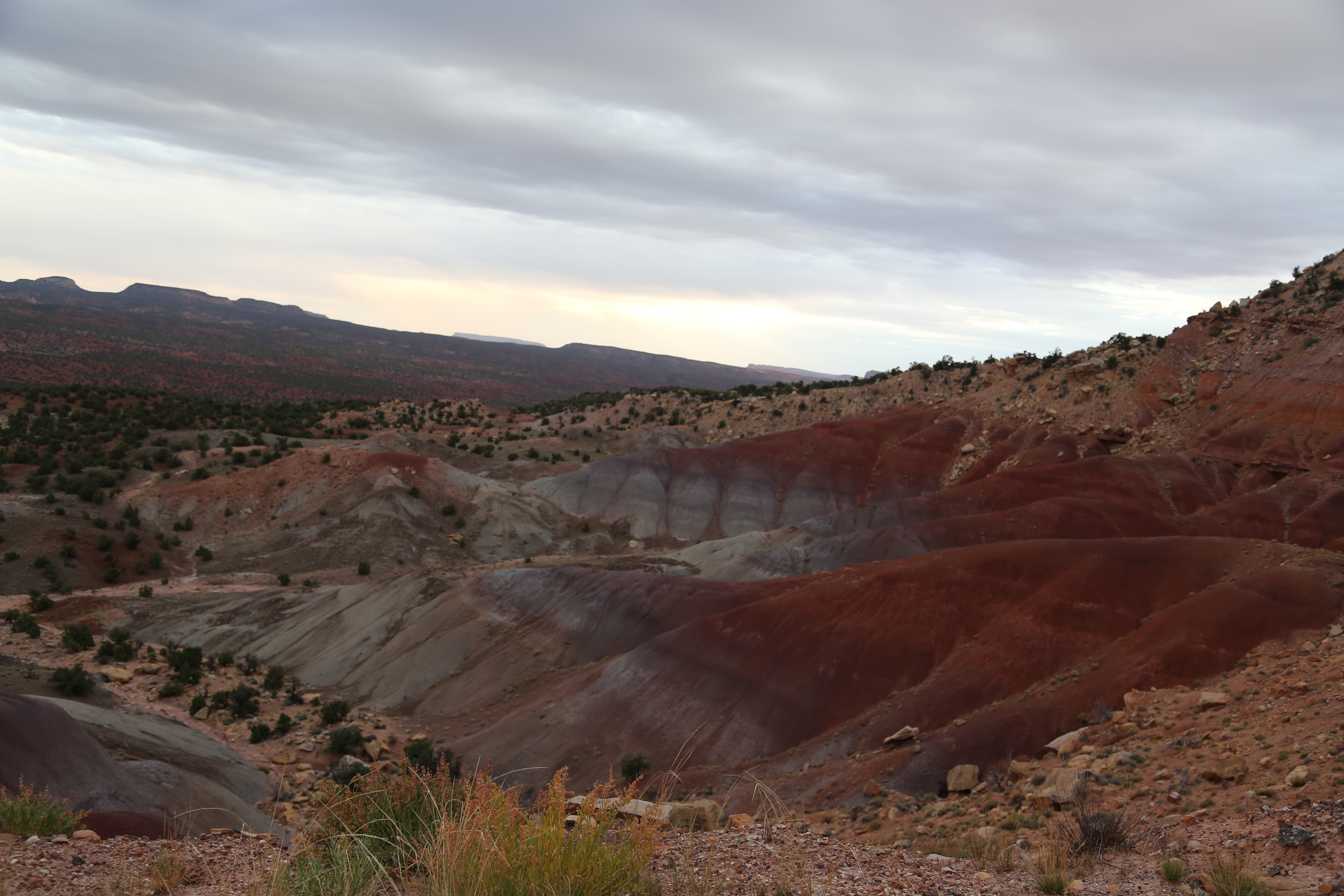 2015 Fall Break - Day 2 - Capitol Reef National Park (Grand Wash Narrows, Capitol Gorge (Petroglyphs, Narrows, Pioneer Register), Waterpocket Fold Drive (Notom-Bullfrog Road, Burr Trail Road), Hell's Backbone Grill (Boulder, Utah))