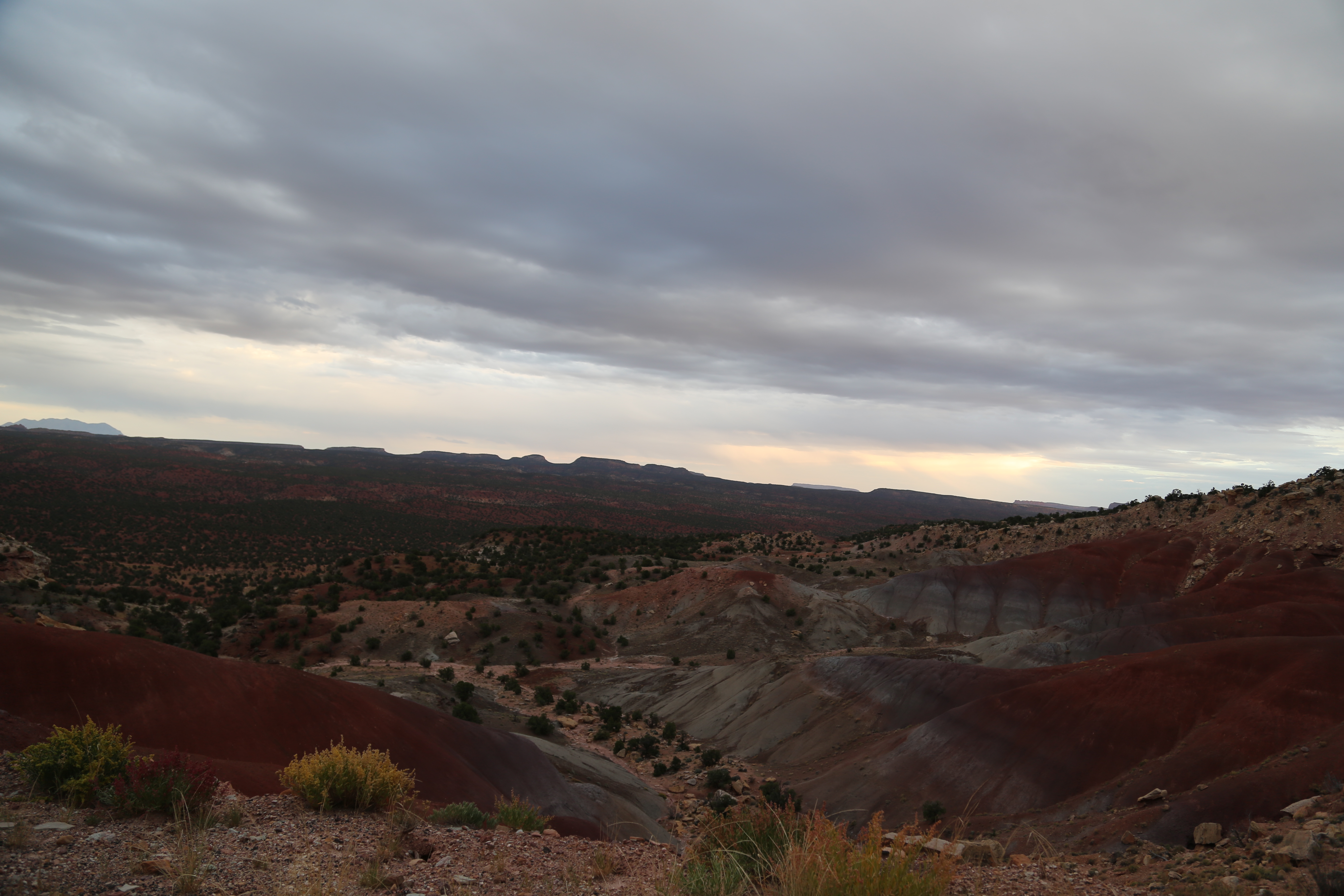 2015 Fall Break - Day 2 - Capitol Reef National Park (Grand Wash Narrows, Capitol Gorge (Petroglyphs, Narrows, Pioneer Register), Waterpocket Fold Drive (Notom-Bullfrog Road, Burr Trail Road), Hell's Backbone Grill (Boulder, Utah))