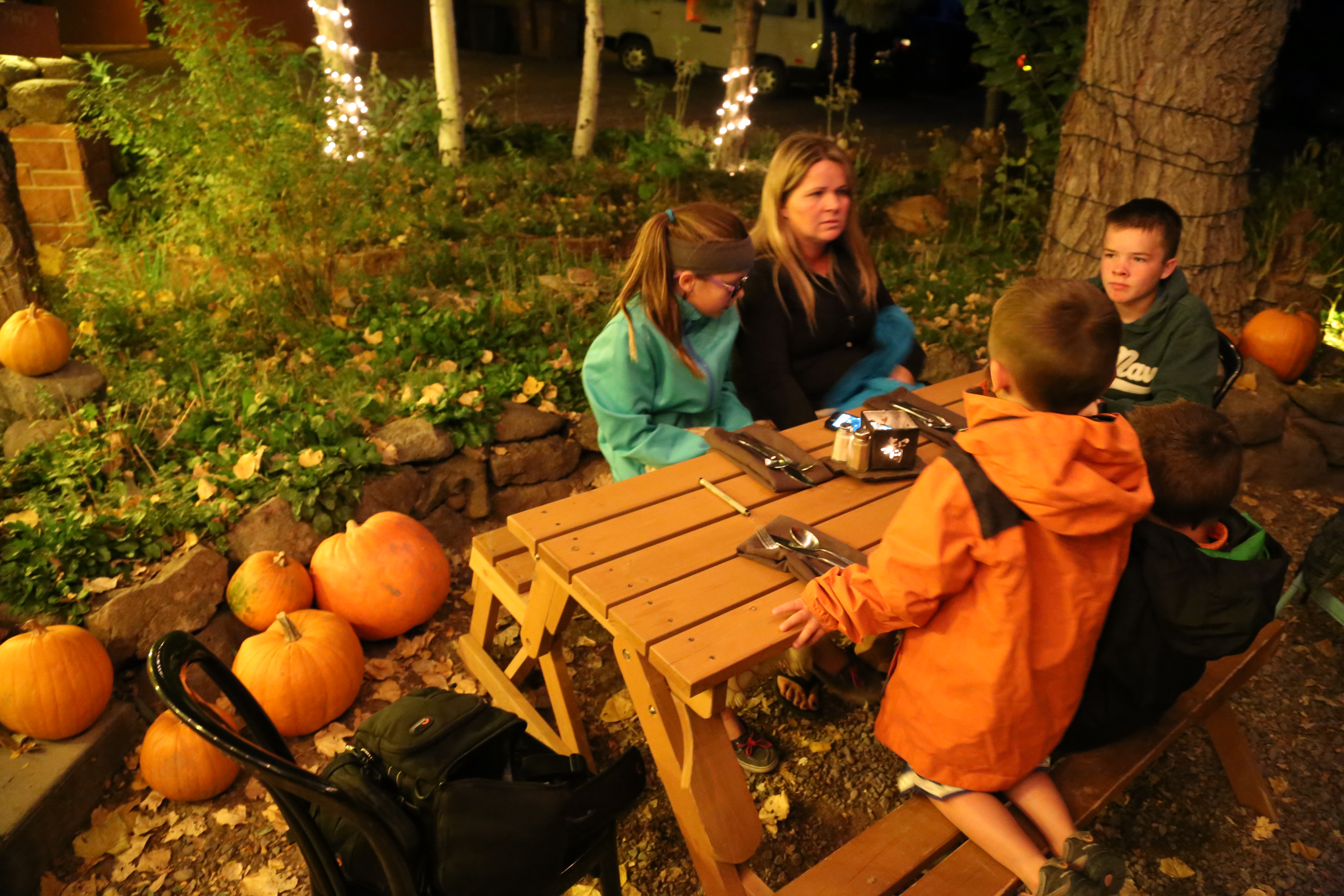 2015 Fall Break - Day 2 - Capitol Reef National Park (Grand Wash Narrows, Capitol Gorge (Petroglyphs, Narrows, Pioneer Register), Waterpocket Fold Drive (Notom-Bullfrog Road, Burr Trail Road), Hell's Backbone Grill (Boulder, Utah))