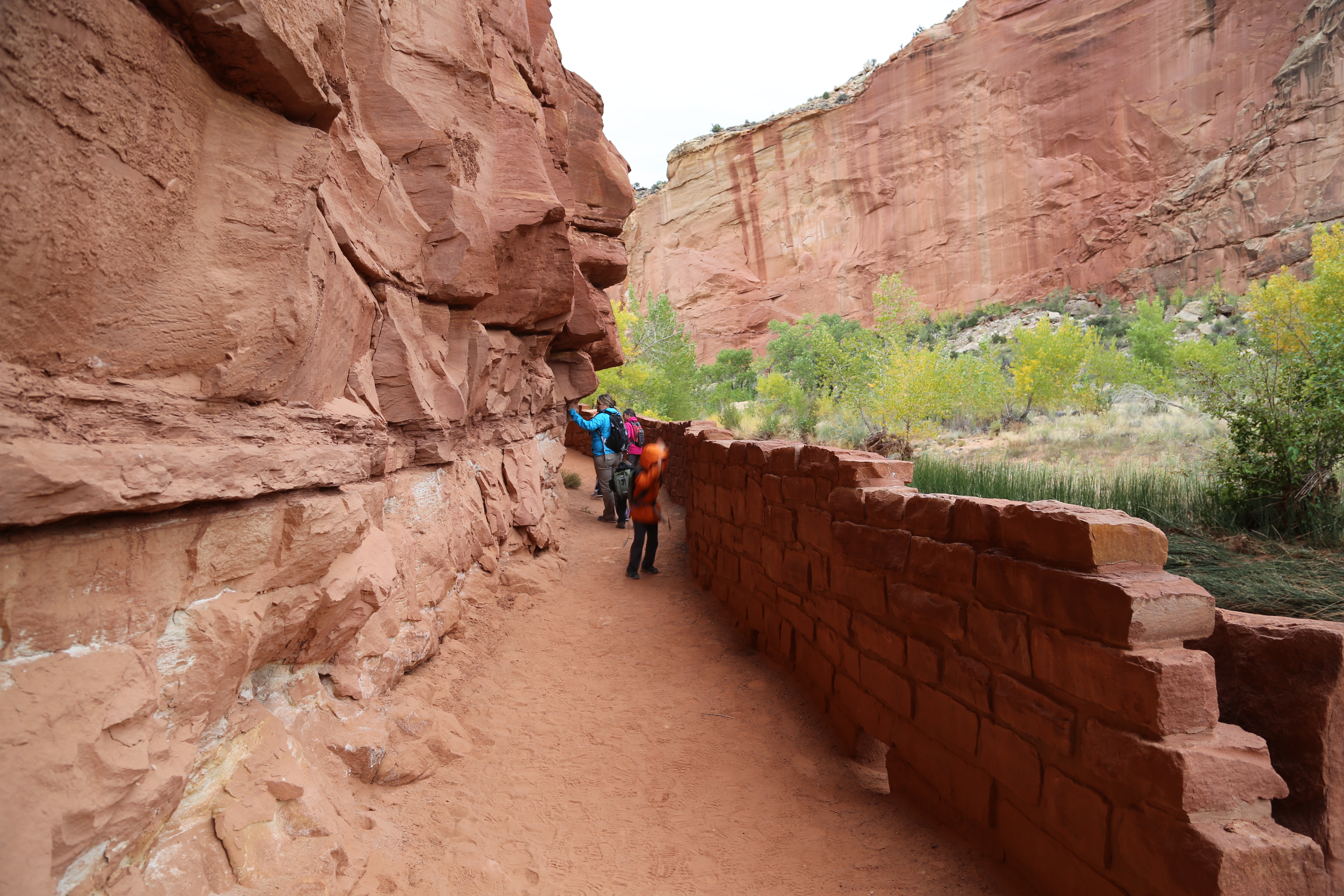 2015 Fall Break - Day 3 - Capitol Reef National Park (Gifford House Pies, Hickman Bridge Arch, Snakes Alive!, Picking Apples in the Fruita Pioneer Orchards, Goosenecks Overlook, Panorama Point), Eating Rattlesnakes at Cafe Diablo (Torrey, Utah)