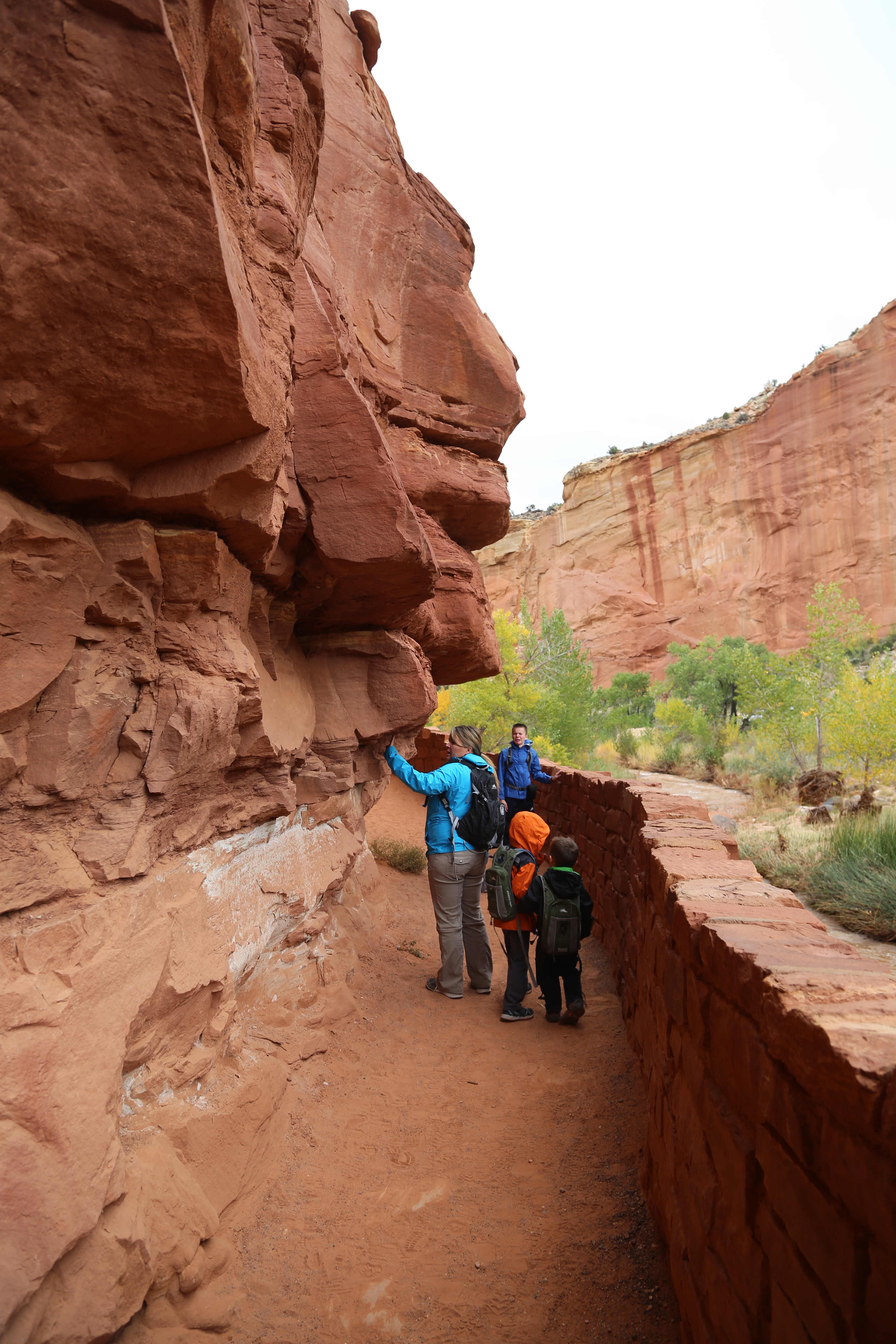 2015 Fall Break - Day 3 - Capitol Reef National Park (Gifford House Pies, Hickman Bridge Arch, Snakes Alive!, Picking Apples in the Fruita Pioneer Orchards, Goosenecks Overlook, Panorama Point), Eating Rattlesnakes at Cafe Diablo (Torrey, Utah)