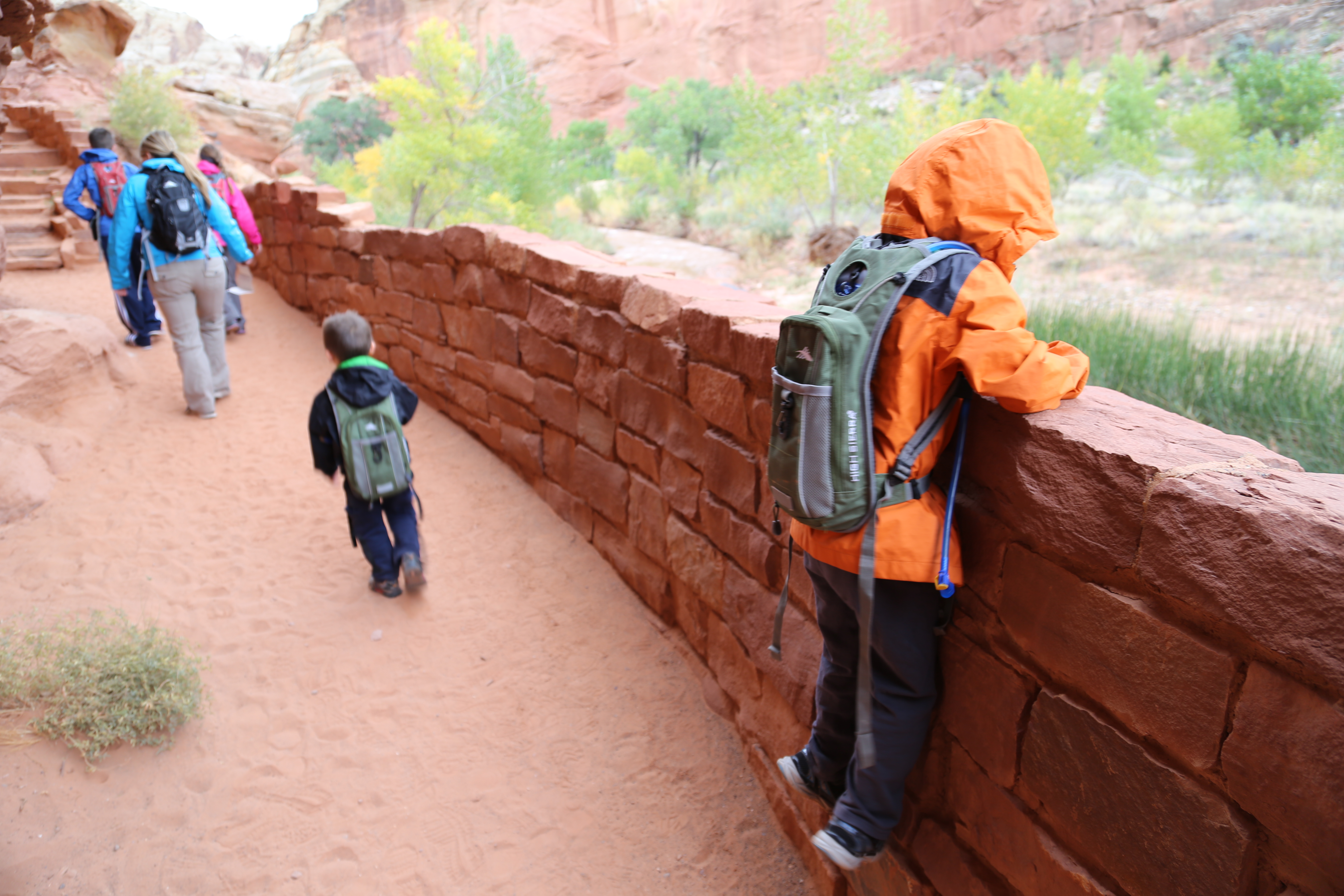 2015 Fall Break - Day 3 - Capitol Reef National Park (Gifford House Pies, Hickman Bridge Arch, Snakes Alive!, Picking Apples in the Fruita Pioneer Orchards, Goosenecks Overlook, Panorama Point), Eating Rattlesnakes at Cafe Diablo (Torrey, Utah)