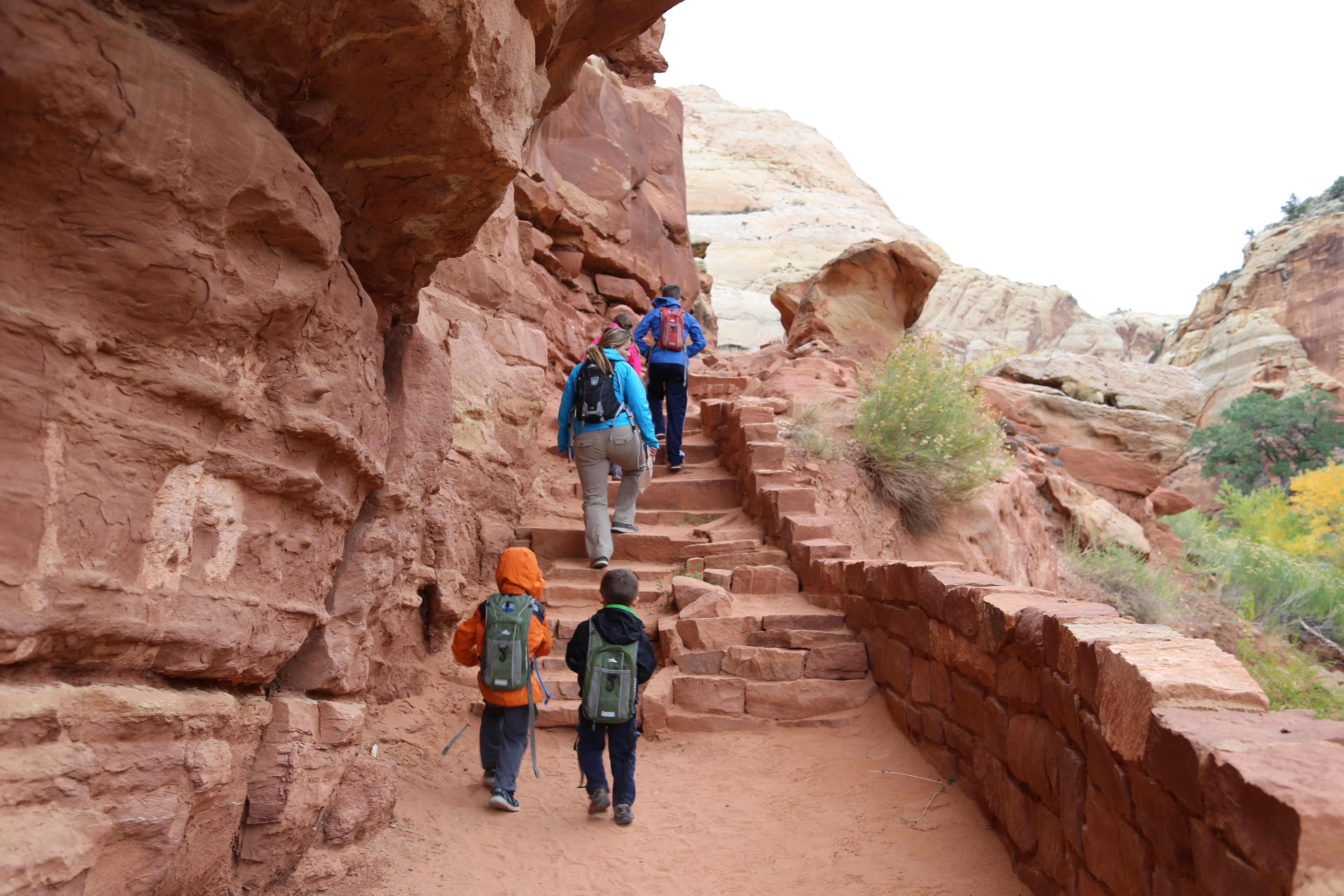 2015 Fall Break - Day 3 - Capitol Reef National Park (Gifford House Pies, Hickman Bridge Arch, Snakes Alive!, Picking Apples in the Fruita Pioneer Orchards, Goosenecks Overlook, Panorama Point), Eating Rattlesnakes at Cafe Diablo (Torrey, Utah)