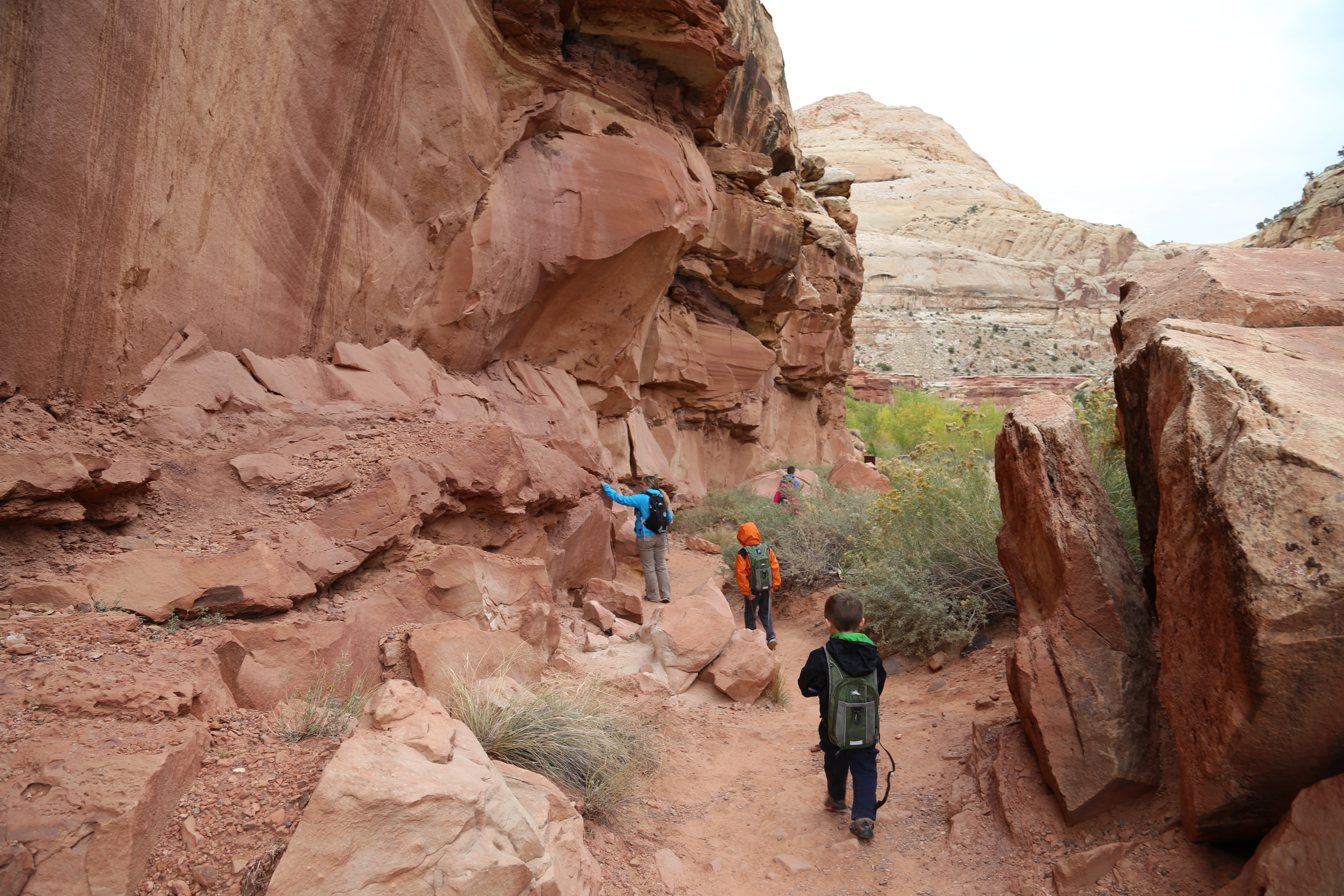 2015 Fall Break - Day 3 - Capitol Reef National Park (Gifford House Pies, Hickman Bridge Arch, Snakes Alive!, Picking Apples in the Fruita Pioneer Orchards, Goosenecks Overlook, Panorama Point), Eating Rattlesnakes at Cafe Diablo (Torrey, Utah)