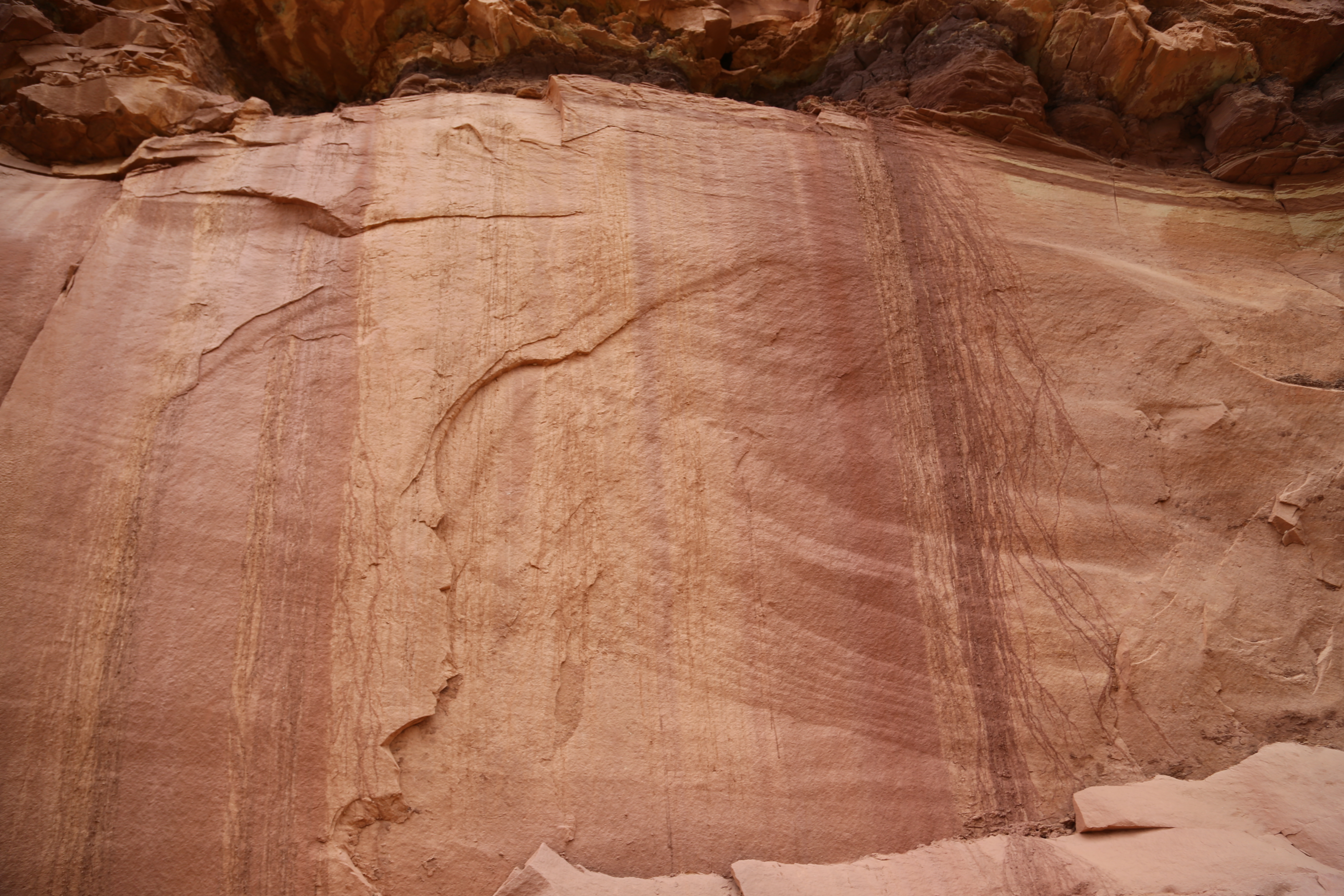 2015 Fall Break - Day 3 - Capitol Reef National Park (Gifford House Pies, Hickman Bridge Arch, Snakes Alive!, Picking Apples in the Fruita Pioneer Orchards, Goosenecks Overlook, Panorama Point), Eating Rattlesnakes at Cafe Diablo (Torrey, Utah)