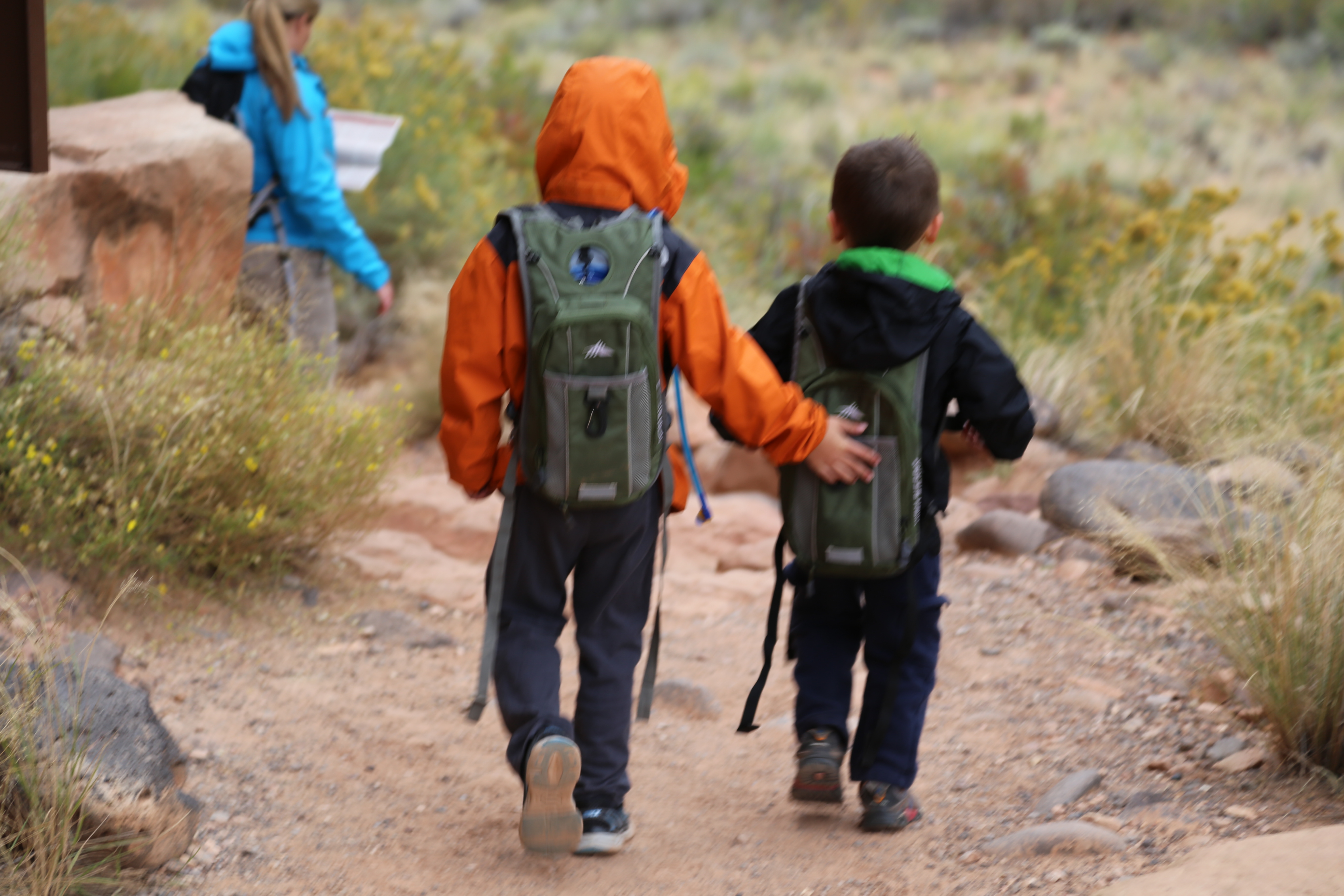 2015 Fall Break - Day 3 - Capitol Reef National Park (Gifford House Pies, Hickman Bridge Arch, Snakes Alive!, Picking Apples in the Fruita Pioneer Orchards, Goosenecks Overlook, Panorama Point), Eating Rattlesnakes at Cafe Diablo (Torrey, Utah)