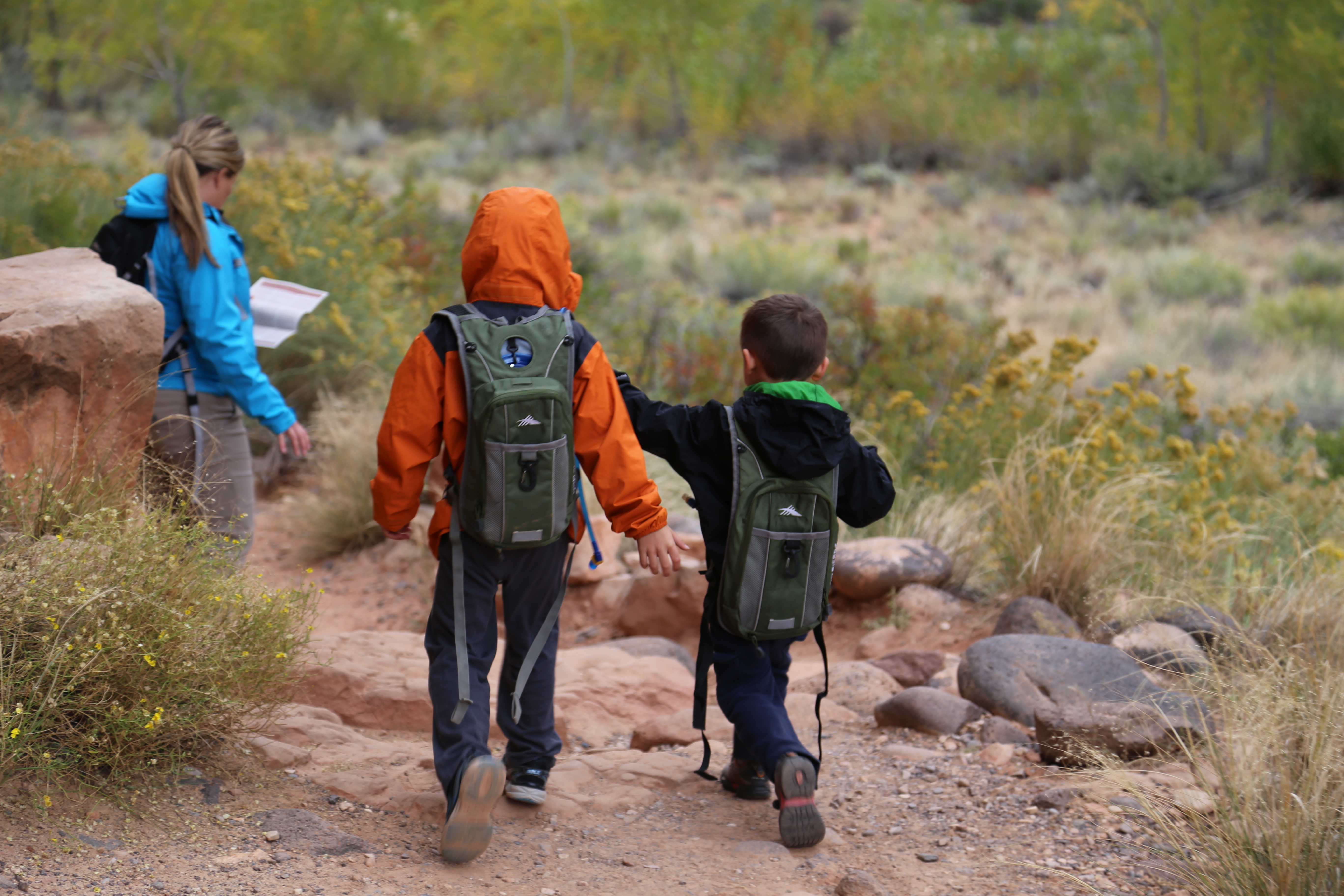 2015 Fall Break - Day 3 - Capitol Reef National Park (Gifford House Pies, Hickman Bridge Arch, Snakes Alive!, Picking Apples in the Fruita Pioneer Orchards, Goosenecks Overlook, Panorama Point), Eating Rattlesnakes at Cafe Diablo (Torrey, Utah)