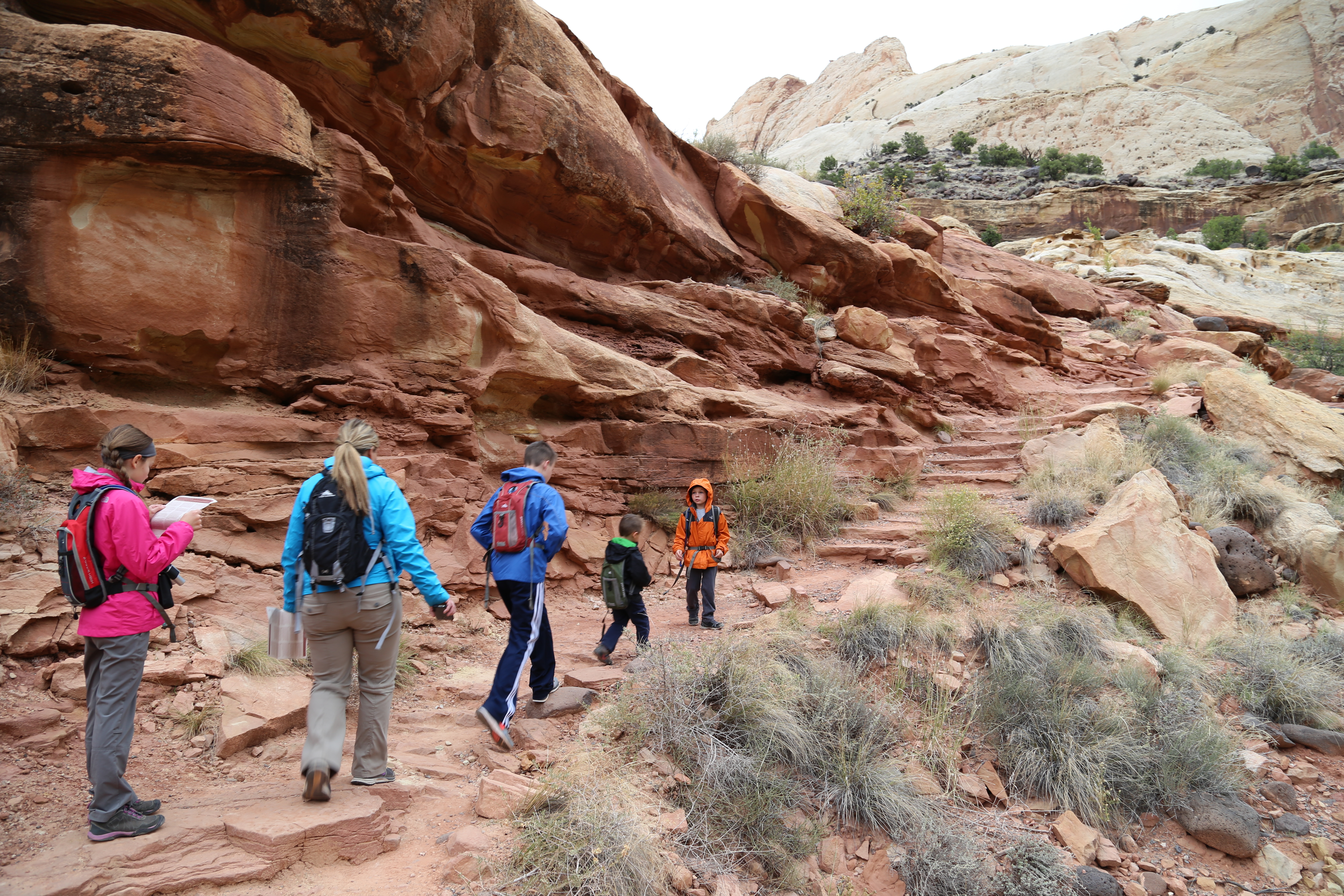 2015 Fall Break - Day 3 - Capitol Reef National Park (Gifford House Pies, Hickman Bridge Arch, Snakes Alive!, Picking Apples in the Fruita Pioneer Orchards, Goosenecks Overlook, Panorama Point), Eating Rattlesnakes at Cafe Diablo (Torrey, Utah)