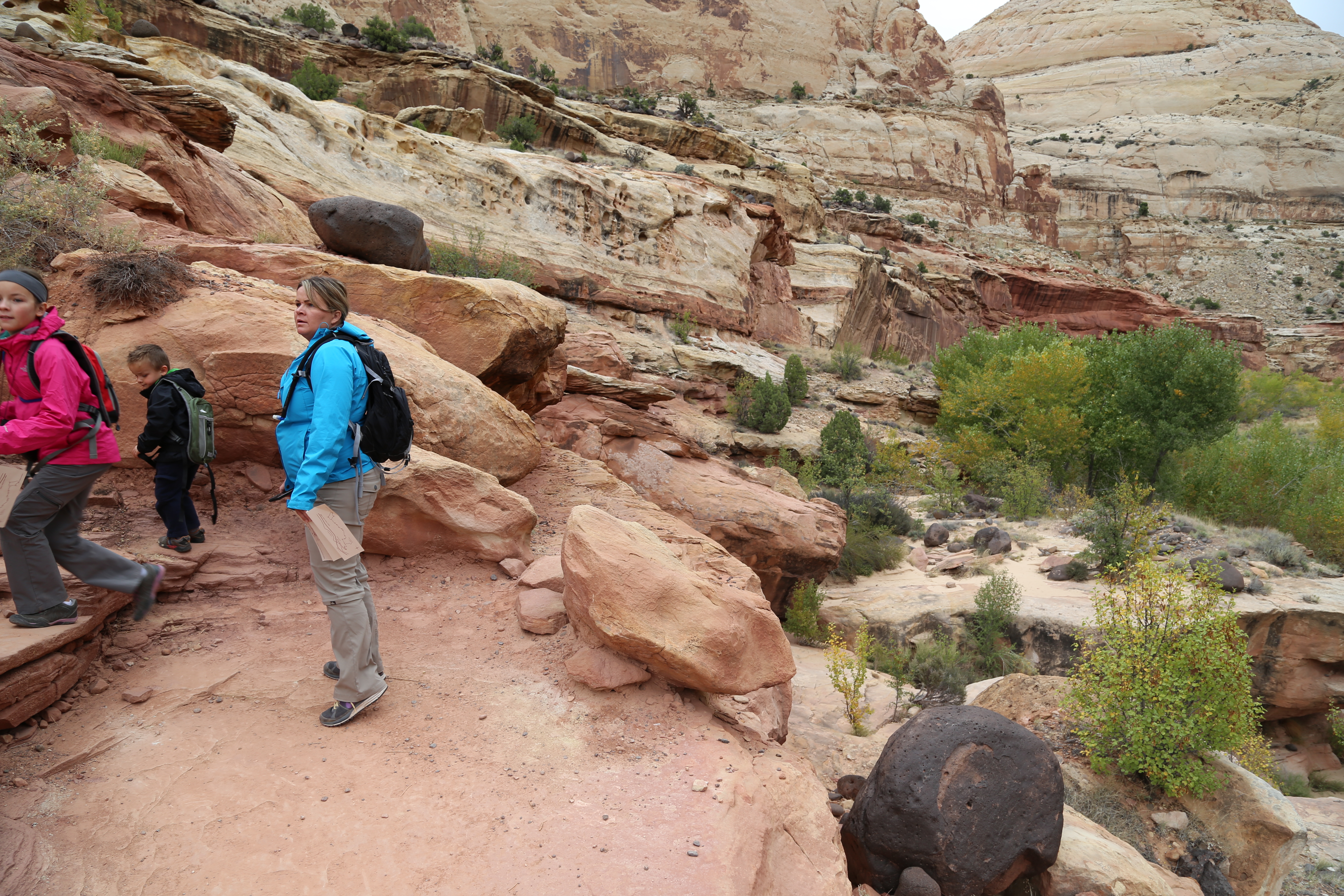 2015 Fall Break - Day 3 - Capitol Reef National Park (Gifford House Pies, Hickman Bridge Arch, Snakes Alive!, Picking Apples in the Fruita Pioneer Orchards, Goosenecks Overlook, Panorama Point), Eating Rattlesnakes at Cafe Diablo (Torrey, Utah)