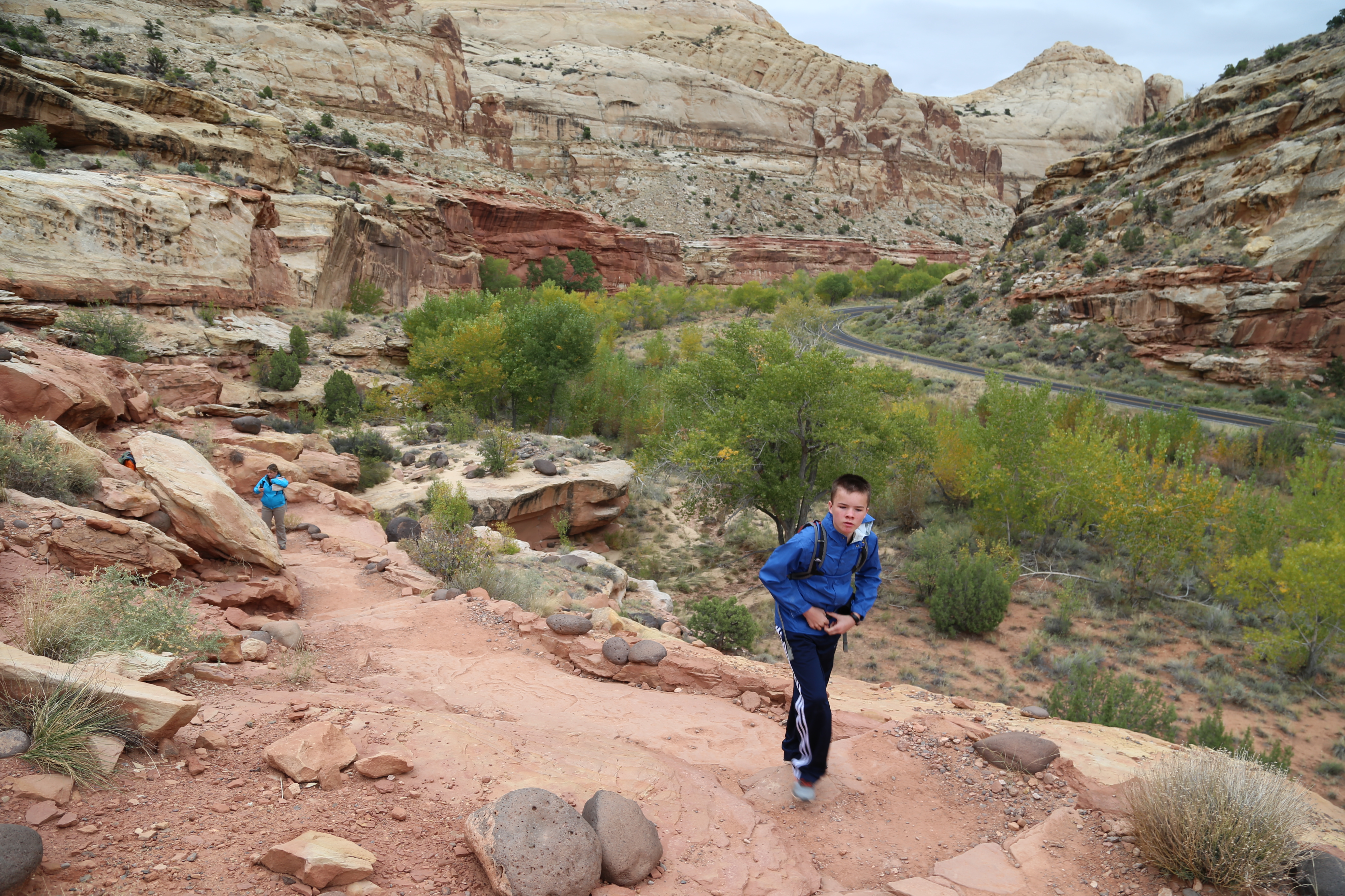 2015 Fall Break - Day 3 - Capitol Reef National Park (Gifford House Pies, Hickman Bridge Arch, Snakes Alive!, Picking Apples in the Fruita Pioneer Orchards, Goosenecks Overlook, Panorama Point), Eating Rattlesnakes at Cafe Diablo (Torrey, Utah)