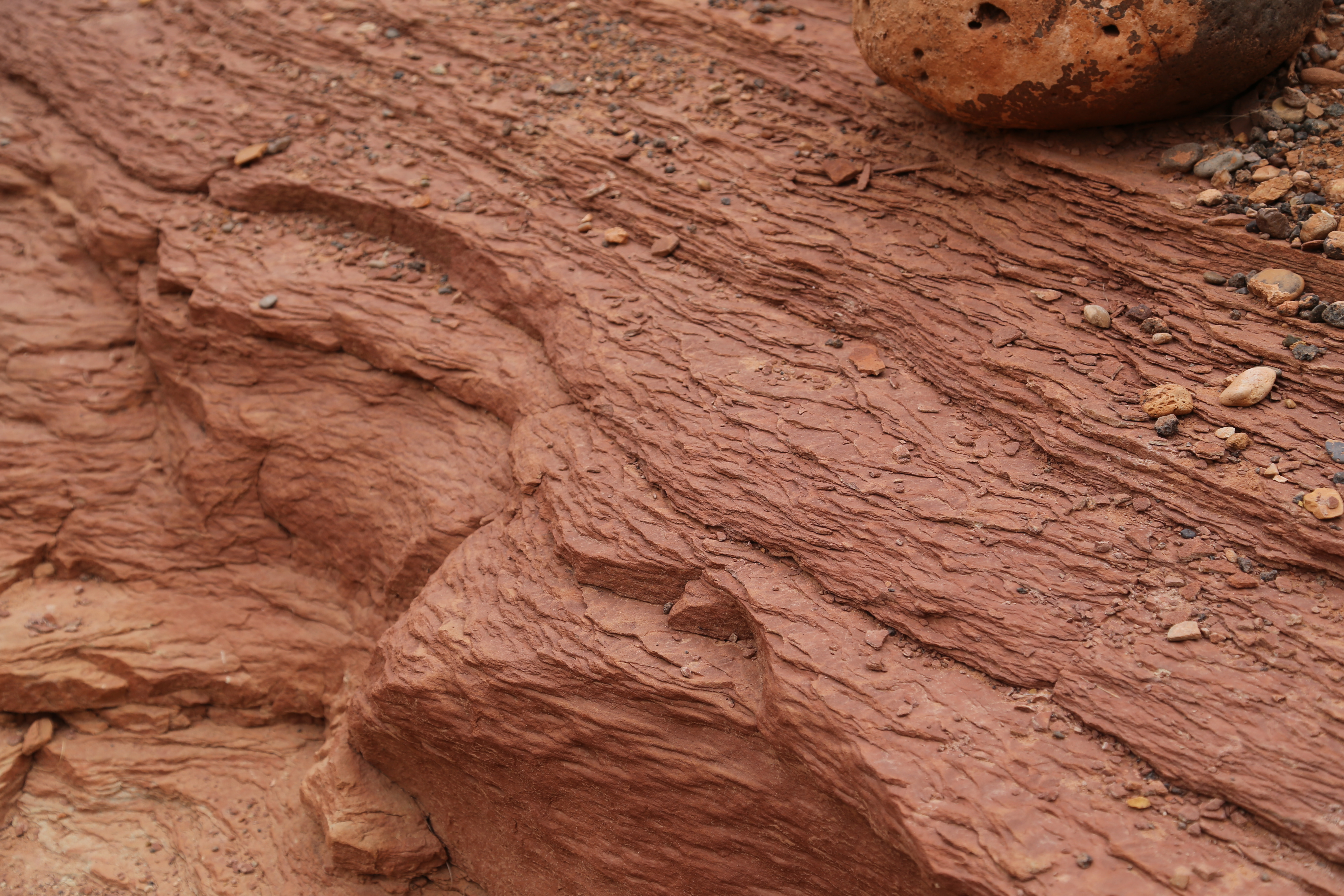 2015 Fall Break - Day 3 - Capitol Reef National Park (Gifford House Pies, Hickman Bridge Arch, Snakes Alive!, Picking Apples in the Fruita Pioneer Orchards, Goosenecks Overlook, Panorama Point), Eating Rattlesnakes at Cafe Diablo (Torrey, Utah)