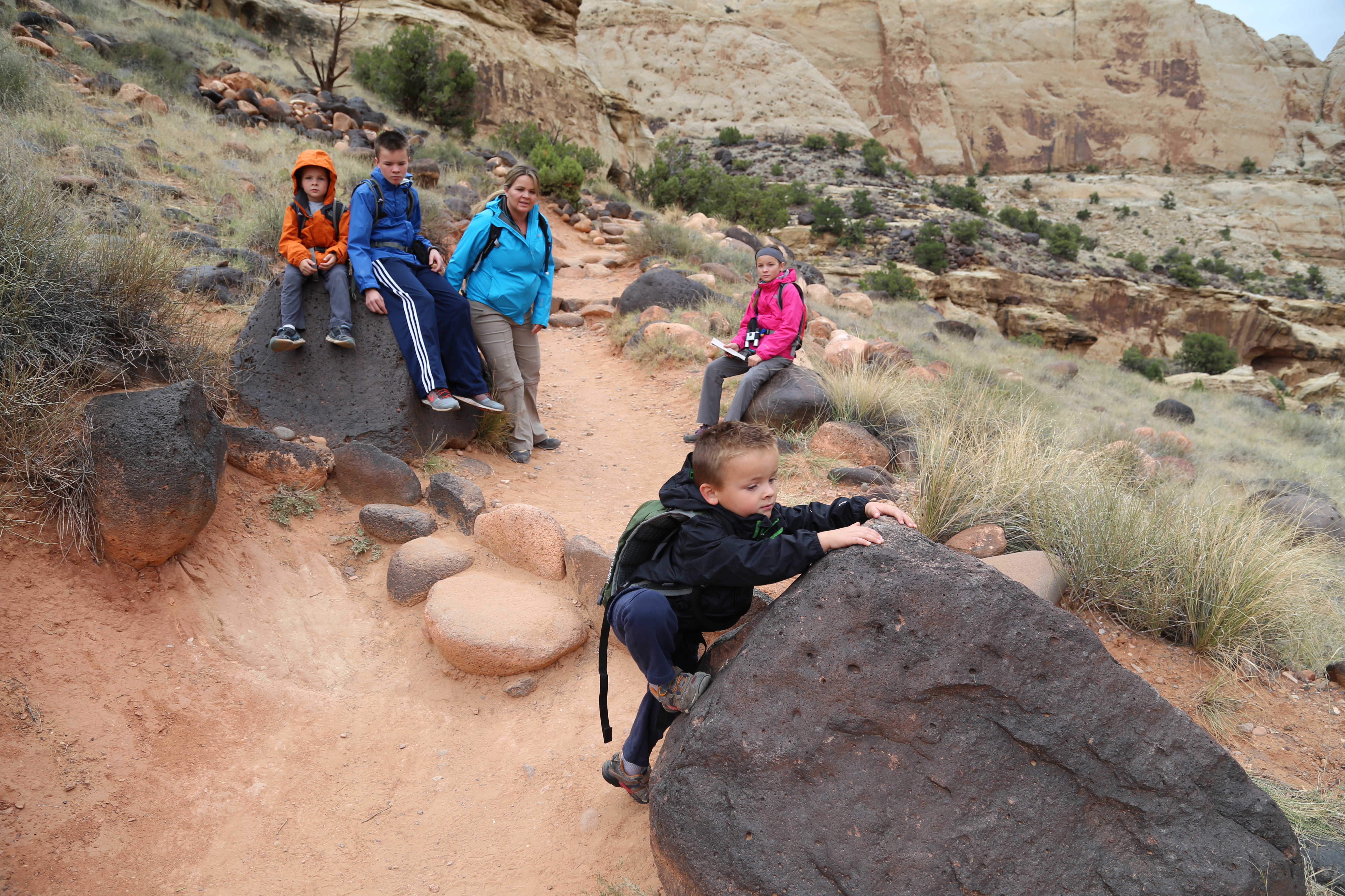 2015 Fall Break - Day 3 - Capitol Reef National Park (Gifford House Pies, Hickman Bridge Arch, Snakes Alive!, Picking Apples in the Fruita Pioneer Orchards, Goosenecks Overlook, Panorama Point), Eating Rattlesnakes at Cafe Diablo (Torrey, Utah)