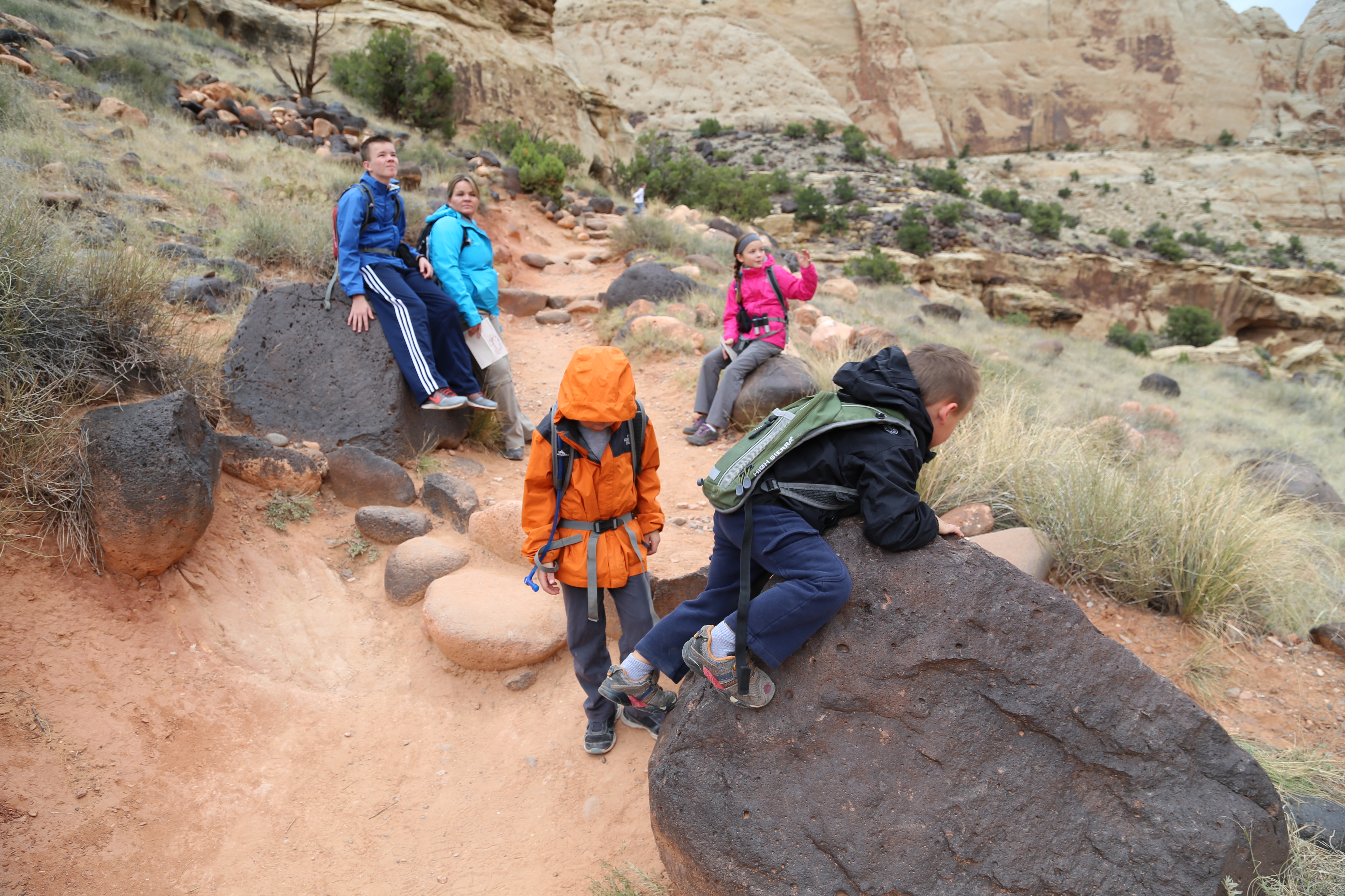 2015 Fall Break - Day 3 - Capitol Reef National Park (Gifford House Pies, Hickman Bridge Arch, Snakes Alive!, Picking Apples in the Fruita Pioneer Orchards, Goosenecks Overlook, Panorama Point), Eating Rattlesnakes at Cafe Diablo (Torrey, Utah)