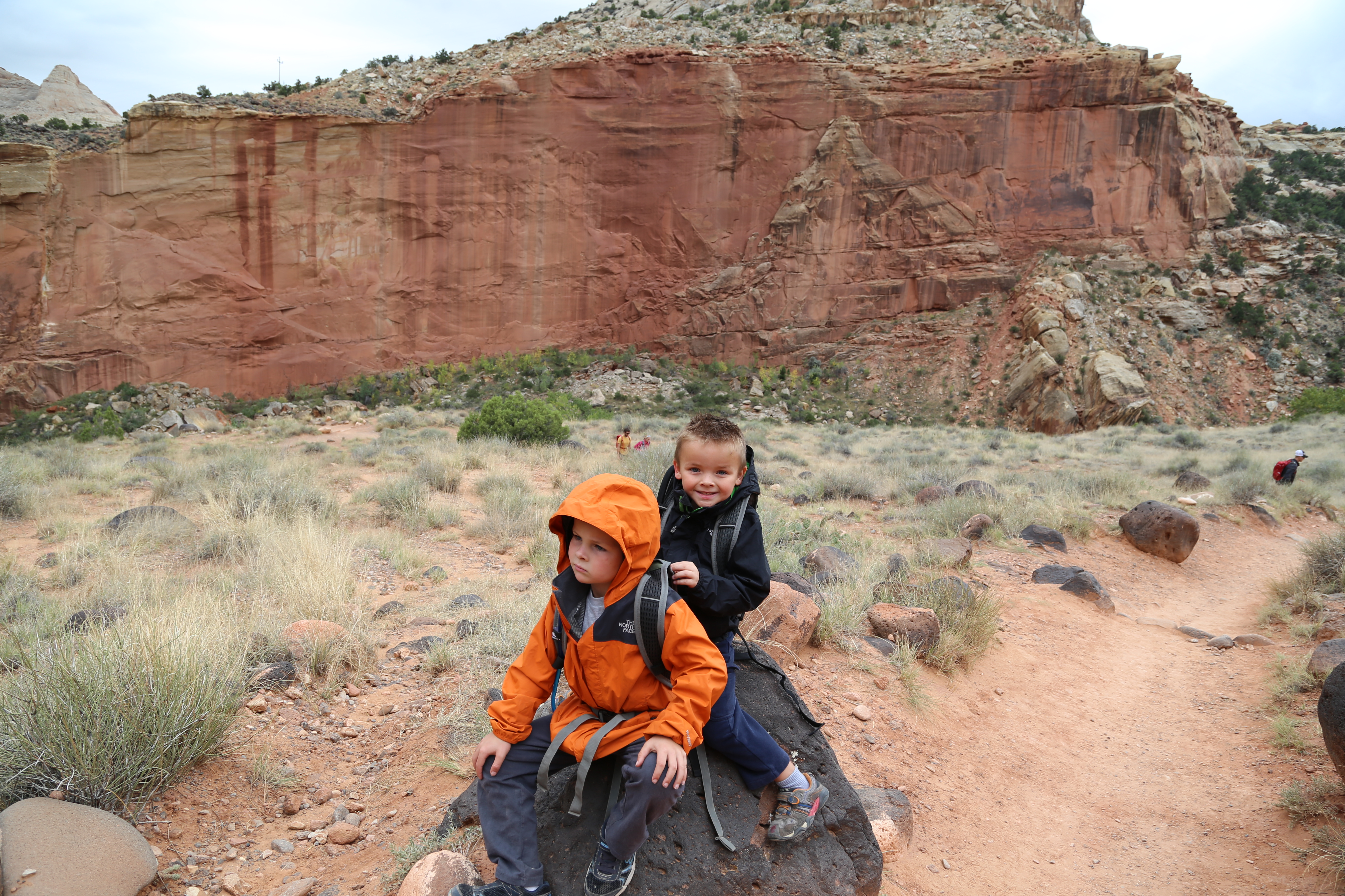 2015 Fall Break - Day 3 - Capitol Reef National Park (Gifford House Pies, Hickman Bridge Arch, Snakes Alive!, Picking Apples in the Fruita Pioneer Orchards, Goosenecks Overlook, Panorama Point), Eating Rattlesnakes at Cafe Diablo (Torrey, Utah)