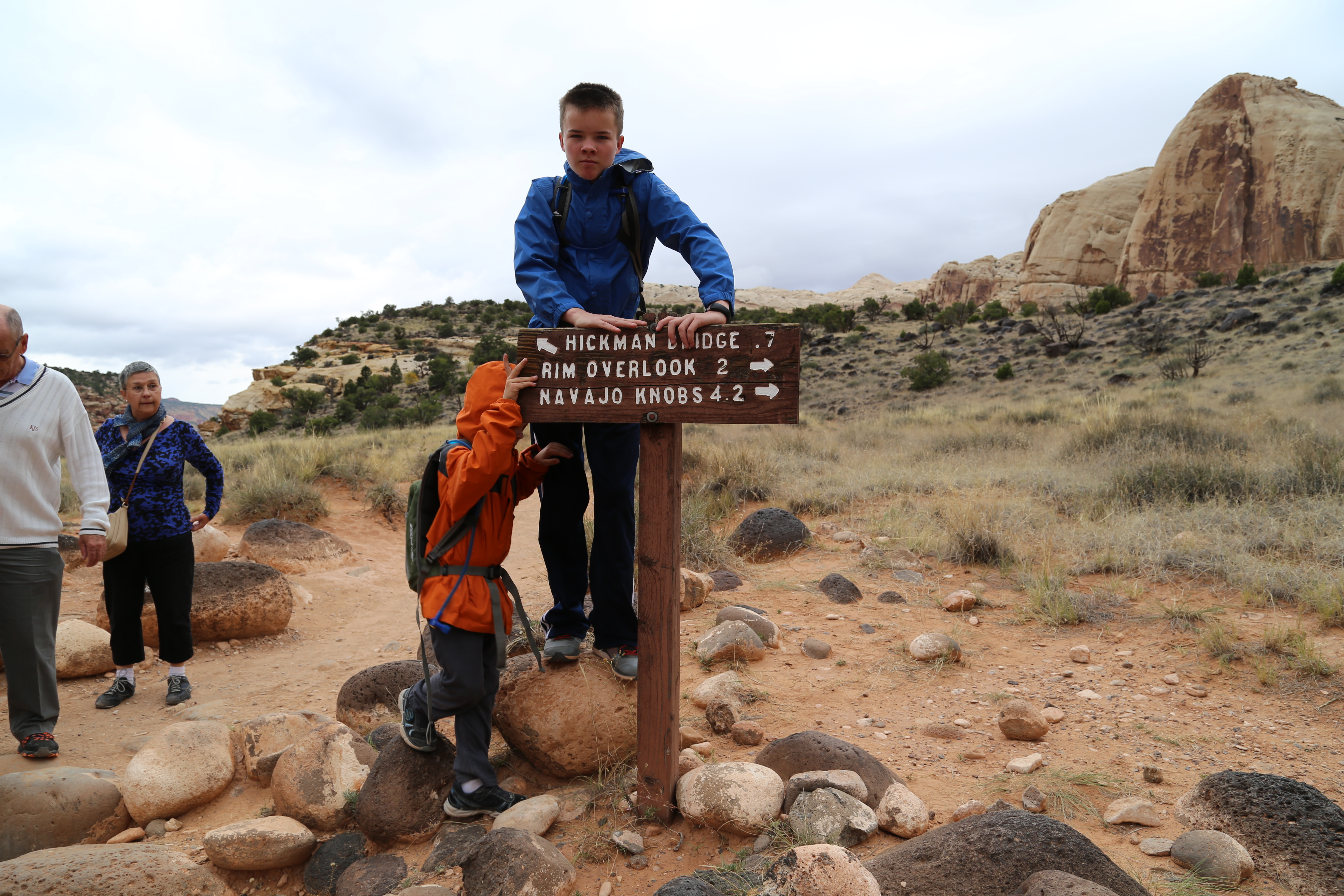 2015 Fall Break - Day 3 - Capitol Reef National Park (Gifford House Pies, Hickman Bridge Arch, Snakes Alive!, Picking Apples in the Fruita Pioneer Orchards, Goosenecks Overlook, Panorama Point), Eating Rattlesnakes at Cafe Diablo (Torrey, Utah)