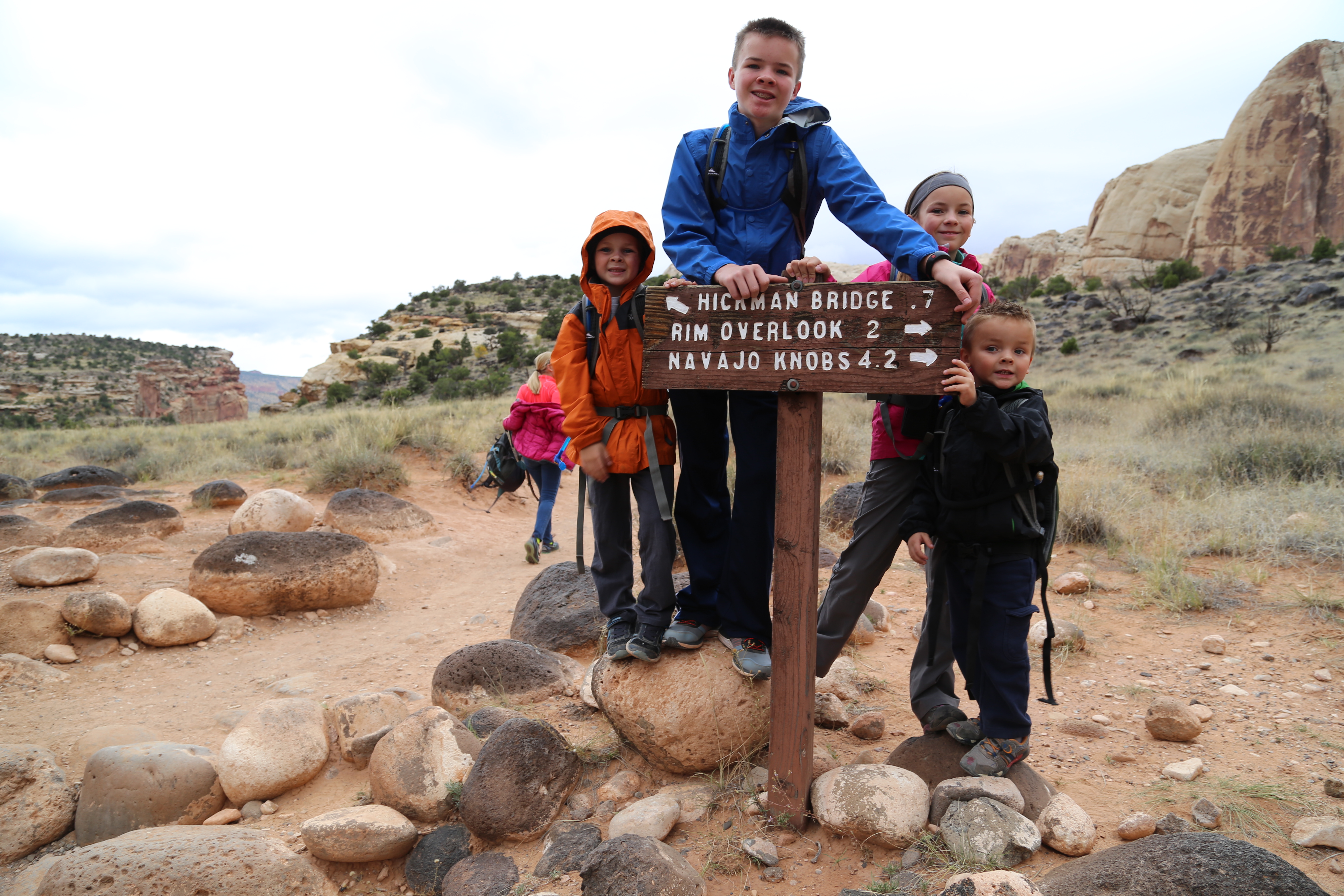 2015 Fall Break - Day 3 - Capitol Reef National Park (Gifford House Pies, Hickman Bridge Arch, Snakes Alive!, Picking Apples in the Fruita Pioneer Orchards, Goosenecks Overlook, Panorama Point), Eating Rattlesnakes at Cafe Diablo (Torrey, Utah)