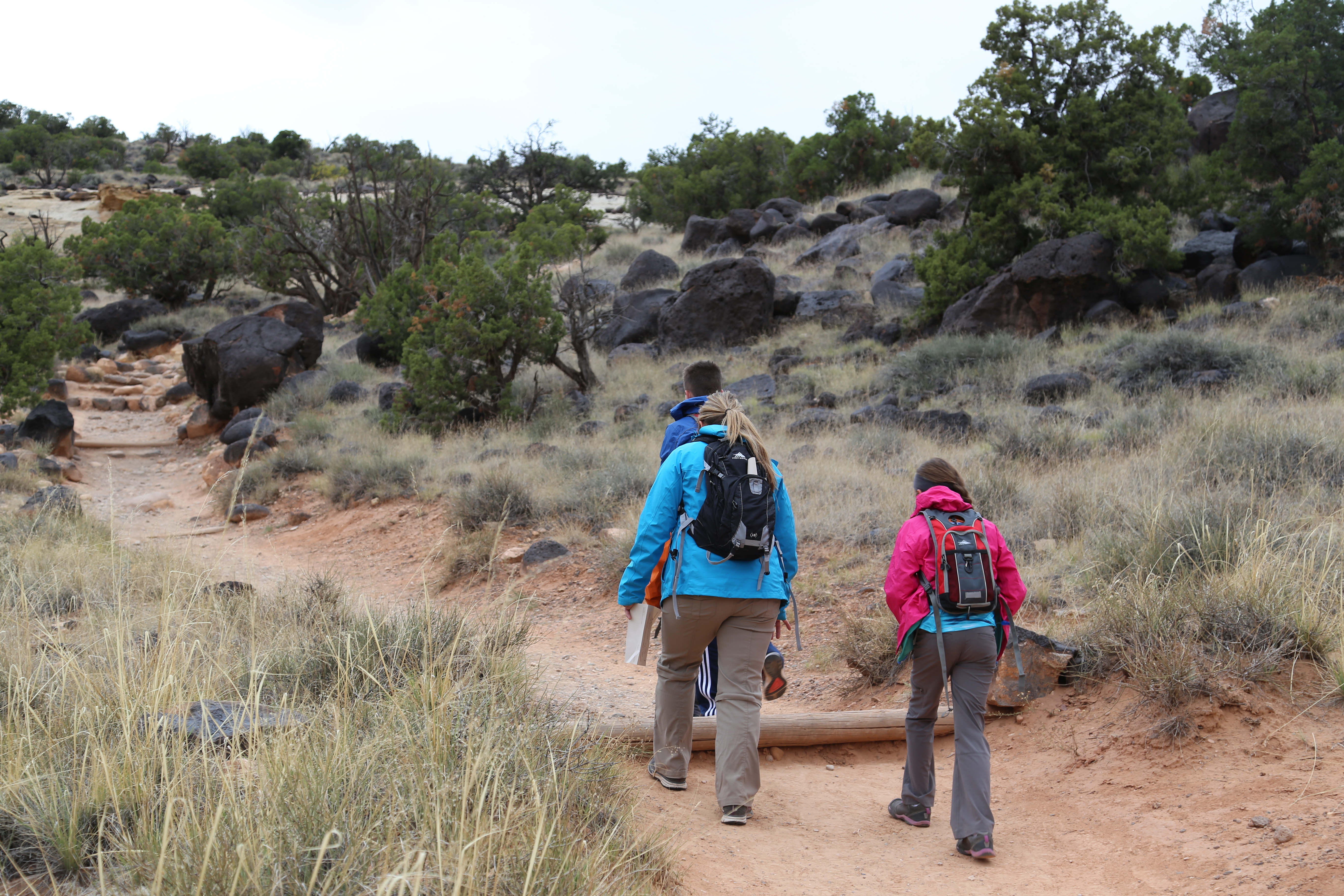 2015 Fall Break - Day 3 - Capitol Reef National Park (Gifford House Pies, Hickman Bridge Arch, Snakes Alive!, Picking Apples in the Fruita Pioneer Orchards, Goosenecks Overlook, Panorama Point), Eating Rattlesnakes at Cafe Diablo (Torrey, Utah)