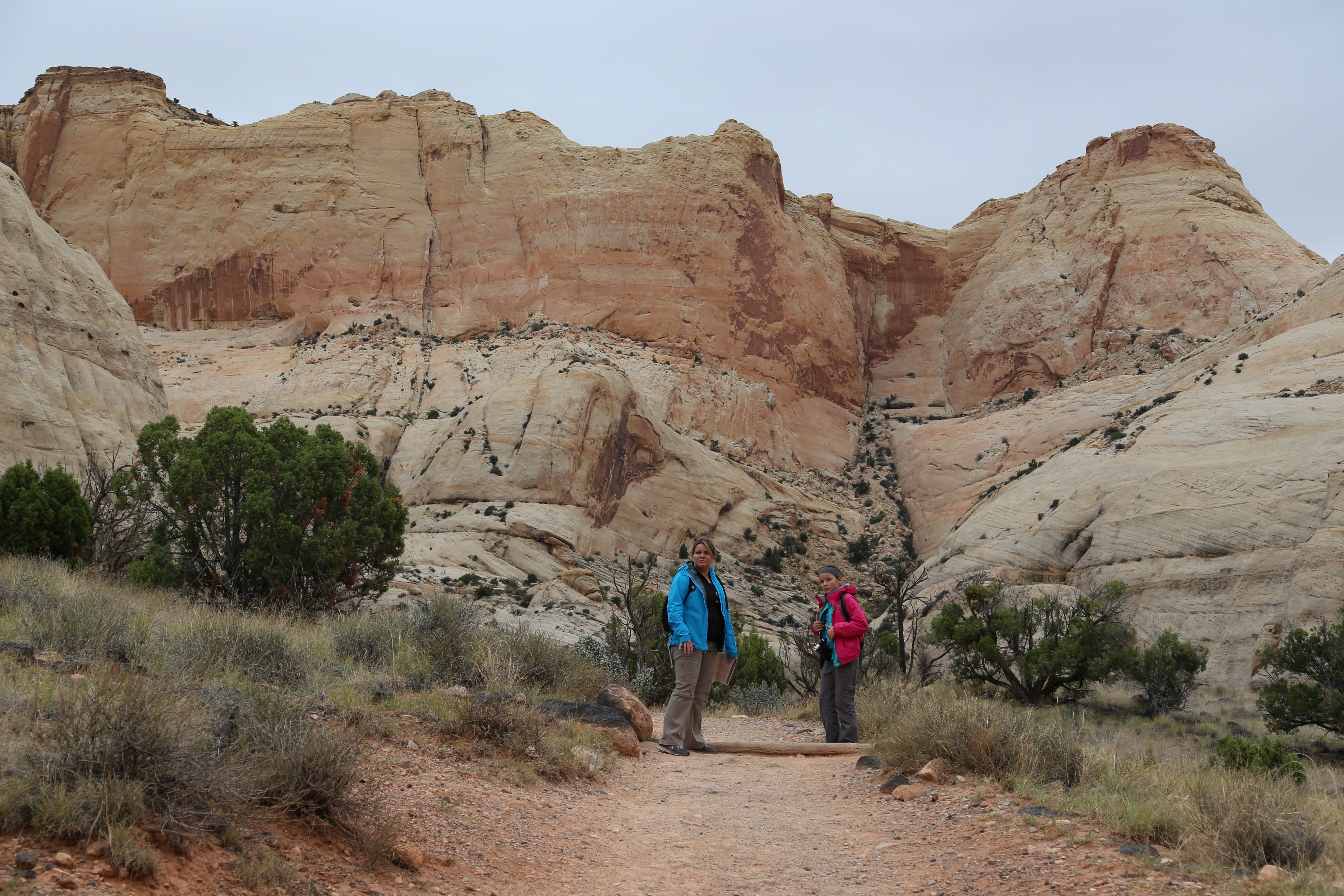 2015 Fall Break - Day 3 - Capitol Reef National Park (Gifford House Pies, Hickman Bridge Arch, Snakes Alive!, Picking Apples in the Fruita Pioneer Orchards, Goosenecks Overlook, Panorama Point), Eating Rattlesnakes at Cafe Diablo (Torrey, Utah)