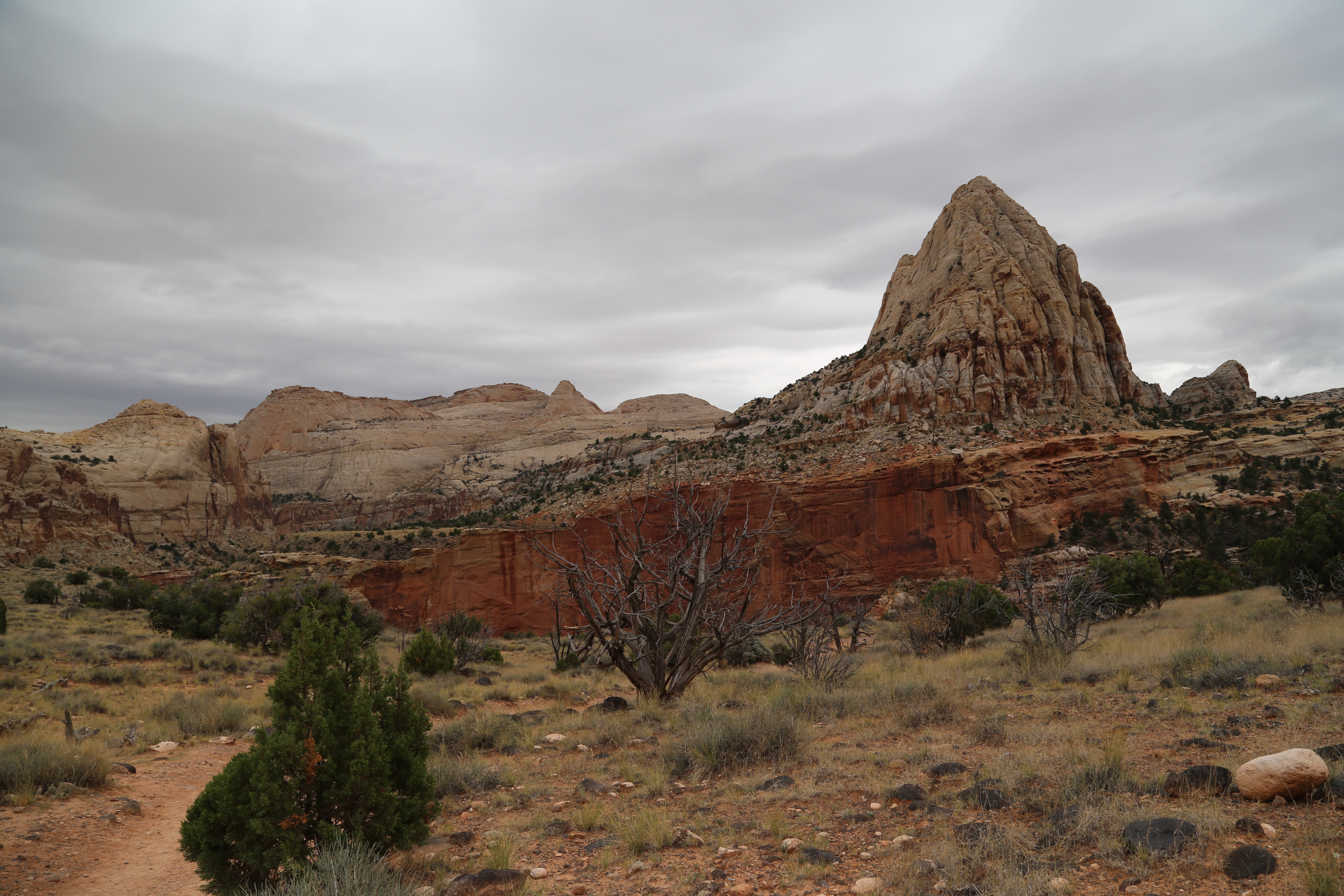 2015 Fall Break - Day 3 - Capitol Reef National Park (Gifford House Pies, Hickman Bridge Arch, Snakes Alive!, Picking Apples in the Fruita Pioneer Orchards, Goosenecks Overlook, Panorama Point), Eating Rattlesnakes at Cafe Diablo (Torrey, Utah)