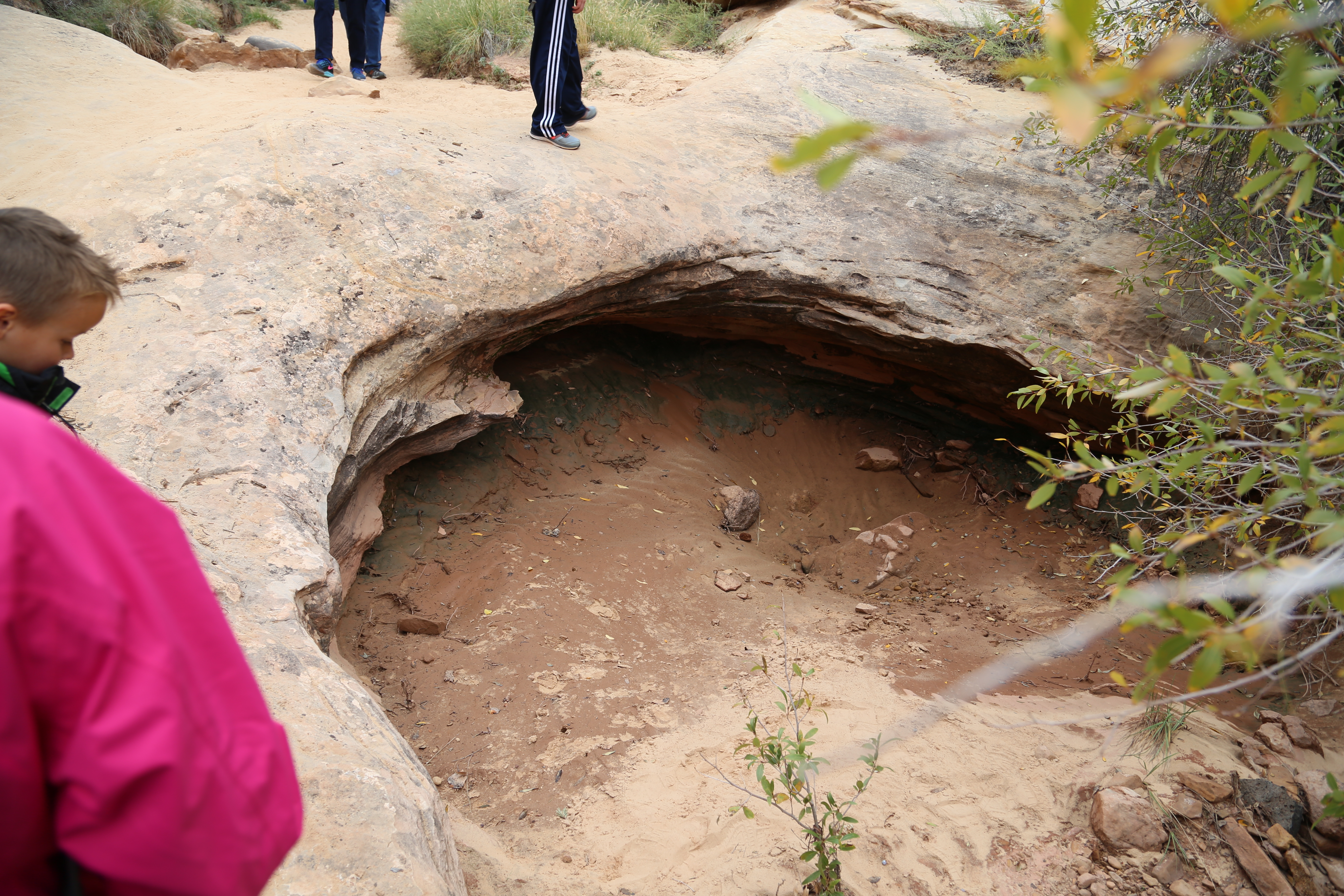 2015 Fall Break - Day 3 - Capitol Reef National Park (Gifford House Pies, Hickman Bridge Arch, Snakes Alive!, Picking Apples in the Fruita Pioneer Orchards, Goosenecks Overlook, Panorama Point), Eating Rattlesnakes at Cafe Diablo (Torrey, Utah)