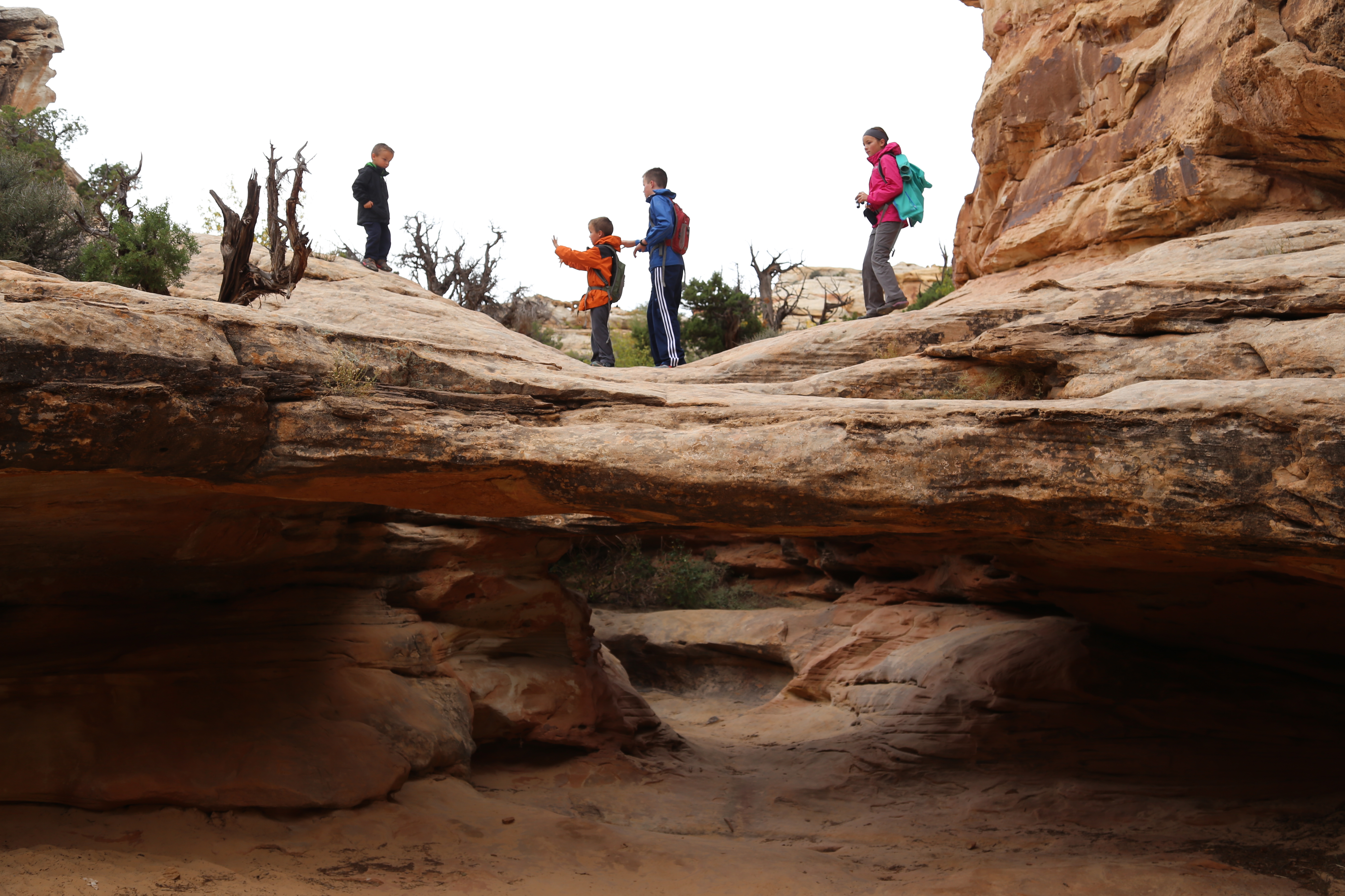 2015 Fall Break - Day 3 - Capitol Reef National Park (Gifford House Pies, Hickman Bridge Arch, Snakes Alive!, Picking Apples in the Fruita Pioneer Orchards, Goosenecks Overlook, Panorama Point), Eating Rattlesnakes at Cafe Diablo (Torrey, Utah)