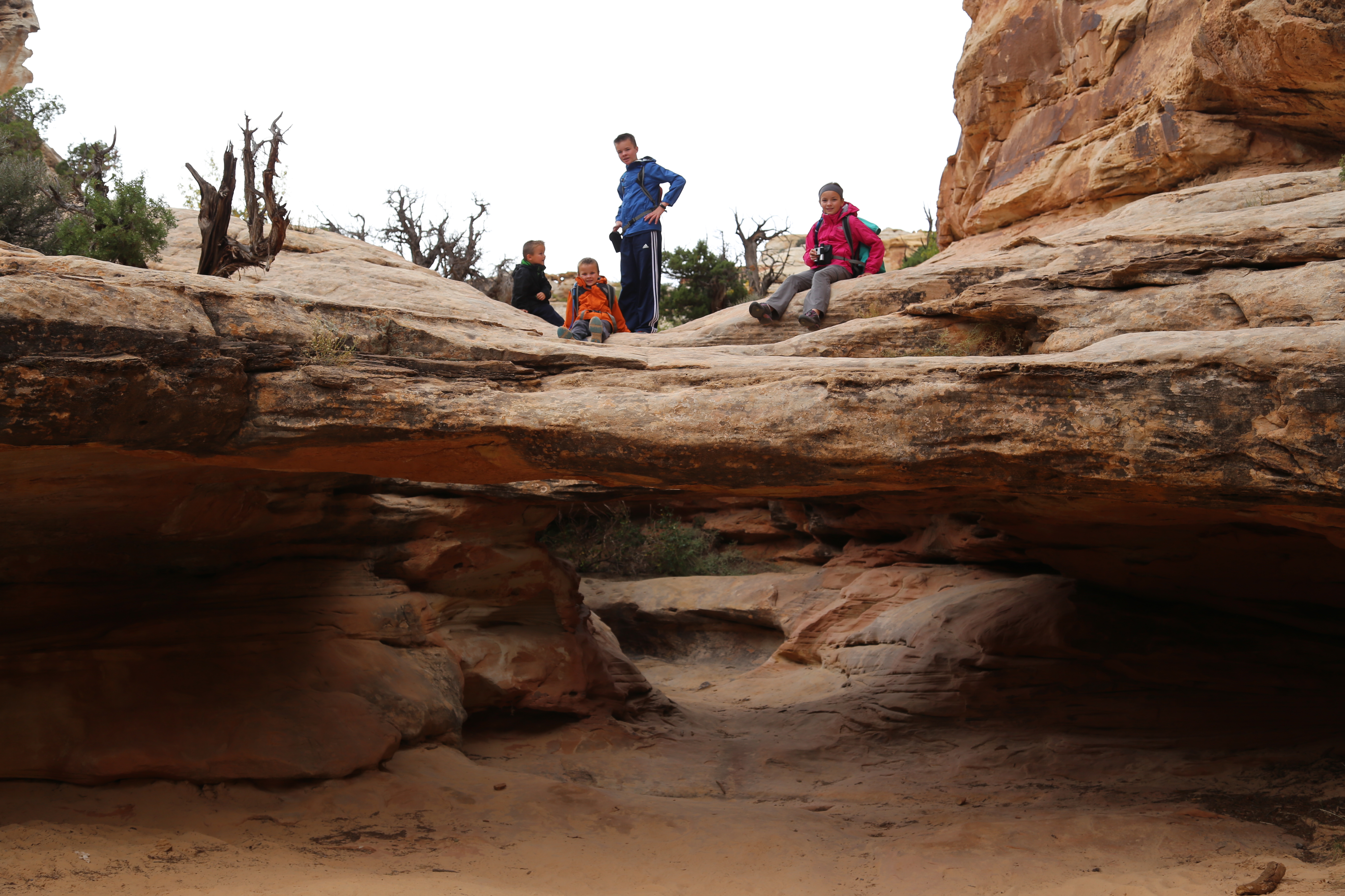 2015 Fall Break - Day 3 - Capitol Reef National Park (Gifford House Pies, Hickman Bridge Arch, Snakes Alive!, Picking Apples in the Fruita Pioneer Orchards, Goosenecks Overlook, Panorama Point), Eating Rattlesnakes at Cafe Diablo (Torrey, Utah)