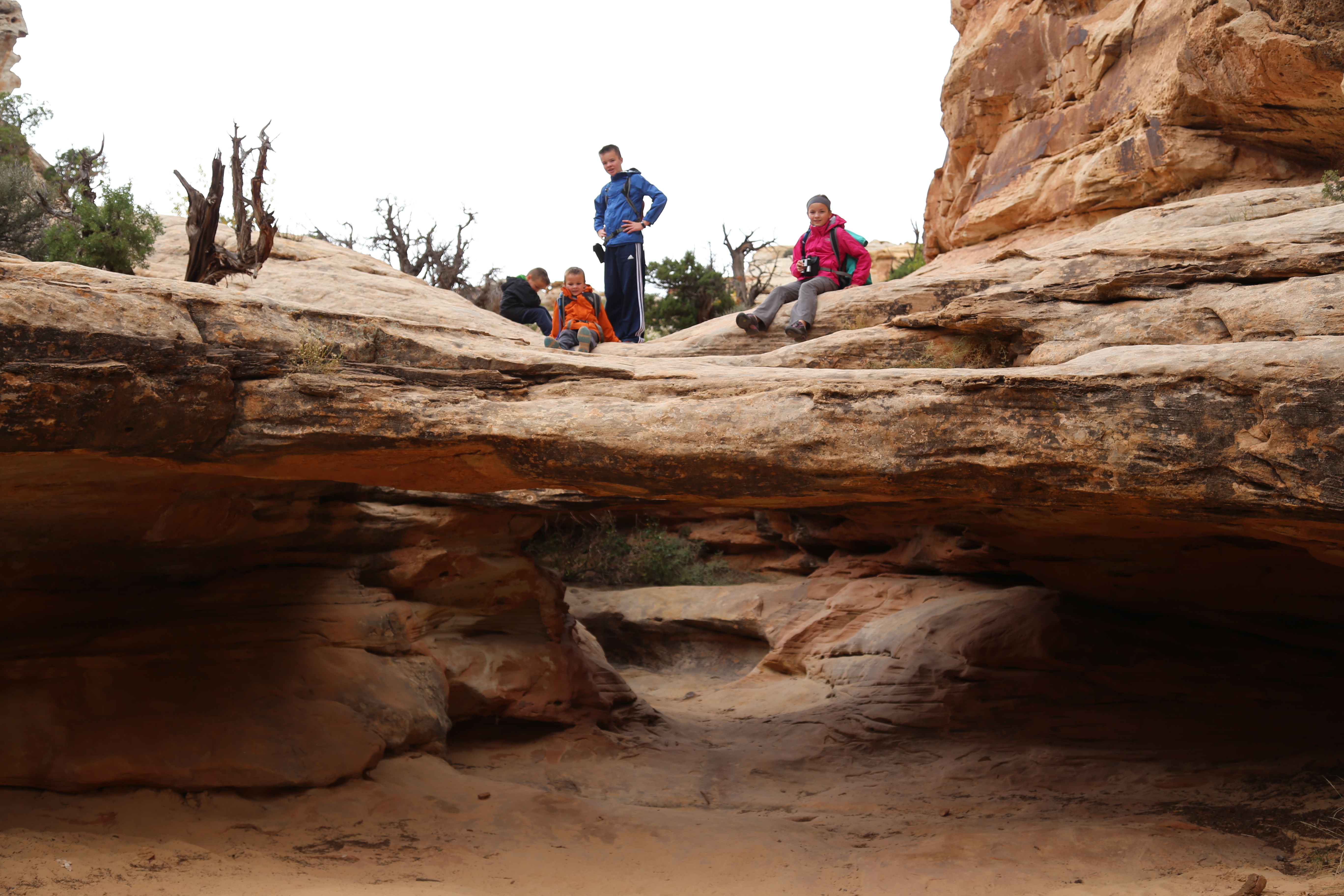 2015 Fall Break - Day 3 - Capitol Reef National Park (Gifford House Pies, Hickman Bridge Arch, Snakes Alive!, Picking Apples in the Fruita Pioneer Orchards, Goosenecks Overlook, Panorama Point), Eating Rattlesnakes at Cafe Diablo (Torrey, Utah)