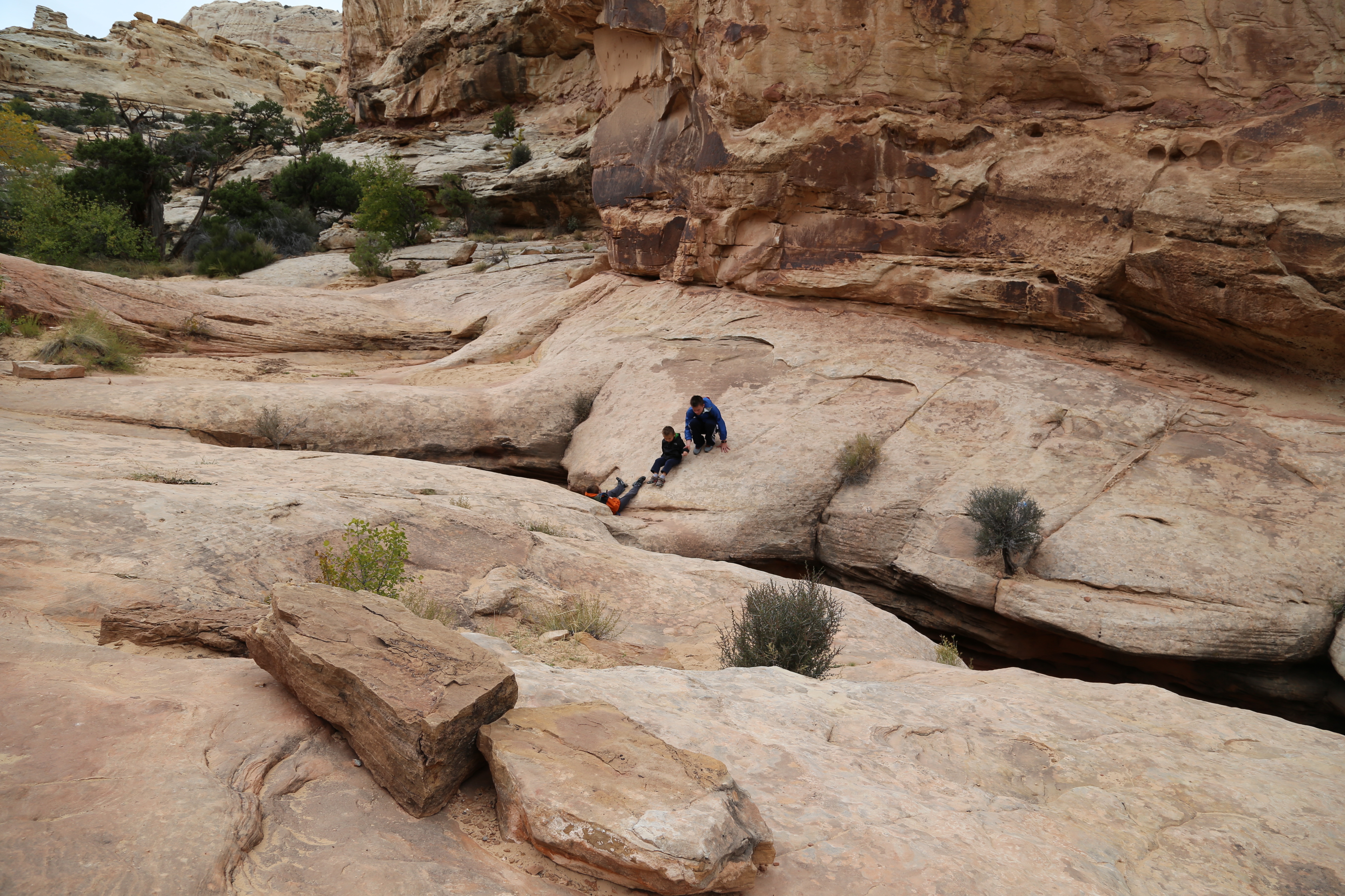 2015 Fall Break - Day 3 - Capitol Reef National Park (Gifford House Pies, Hickman Bridge Arch, Snakes Alive!, Picking Apples in the Fruita Pioneer Orchards, Goosenecks Overlook, Panorama Point), Eating Rattlesnakes at Cafe Diablo (Torrey, Utah)