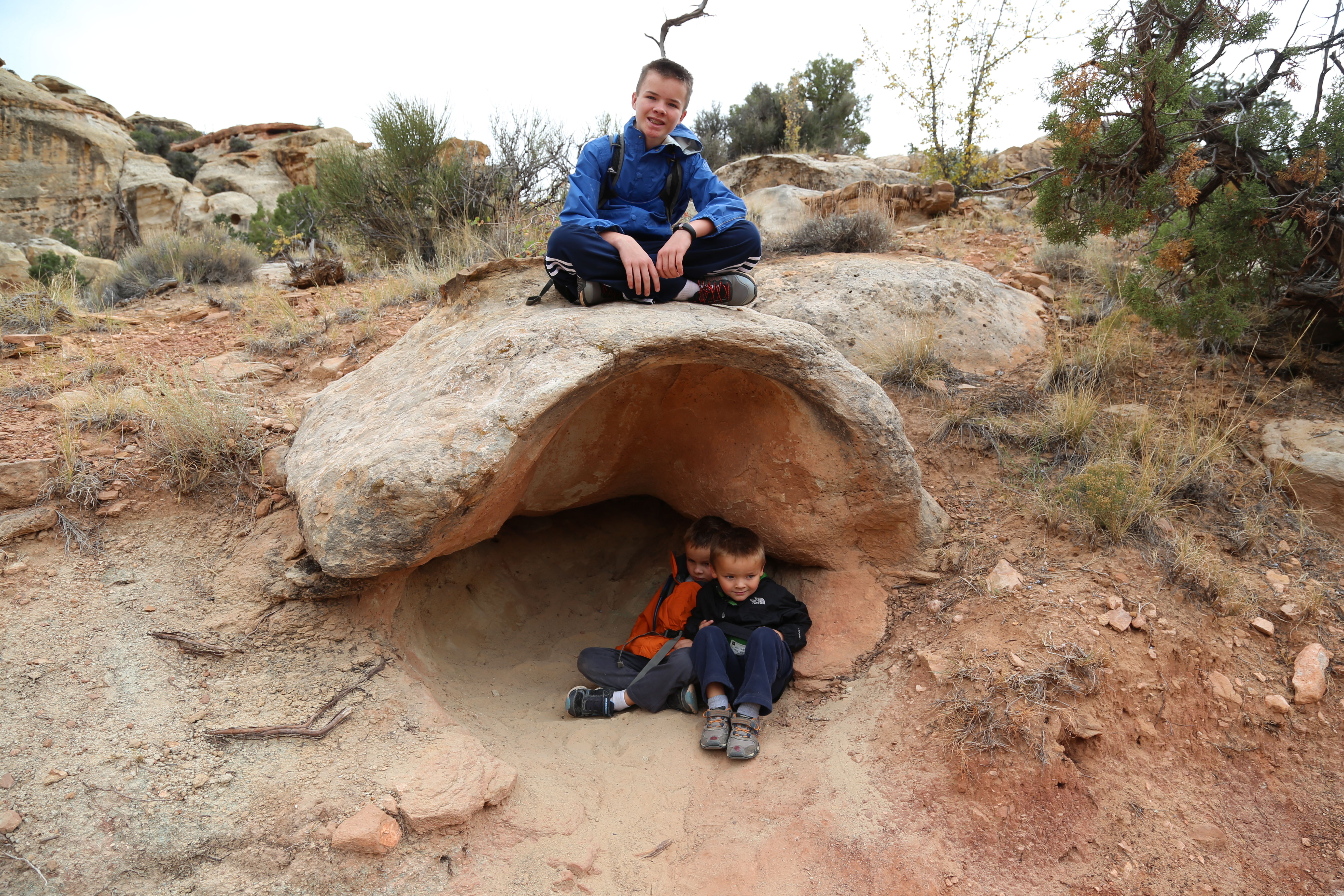 2015 Fall Break - Day 3 - Capitol Reef National Park (Gifford House Pies, Hickman Bridge Arch, Snakes Alive!, Picking Apples in the Fruita Pioneer Orchards, Goosenecks Overlook, Panorama Point), Eating Rattlesnakes at Cafe Diablo (Torrey, Utah)