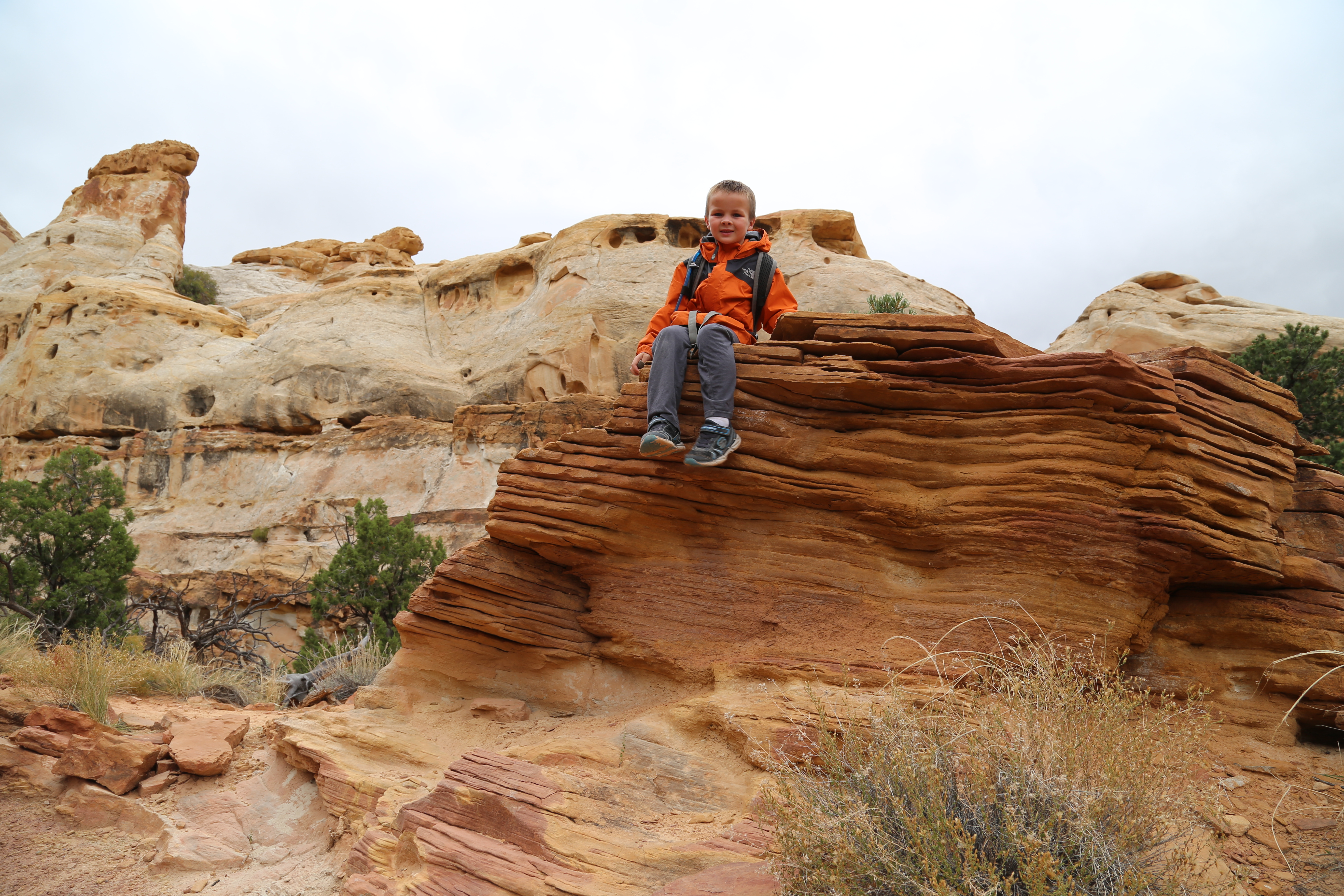 2015 Fall Break - Day 3 - Capitol Reef National Park (Gifford House Pies, Hickman Bridge Arch, Snakes Alive!, Picking Apples in the Fruita Pioneer Orchards, Goosenecks Overlook, Panorama Point), Eating Rattlesnakes at Cafe Diablo (Torrey, Utah)