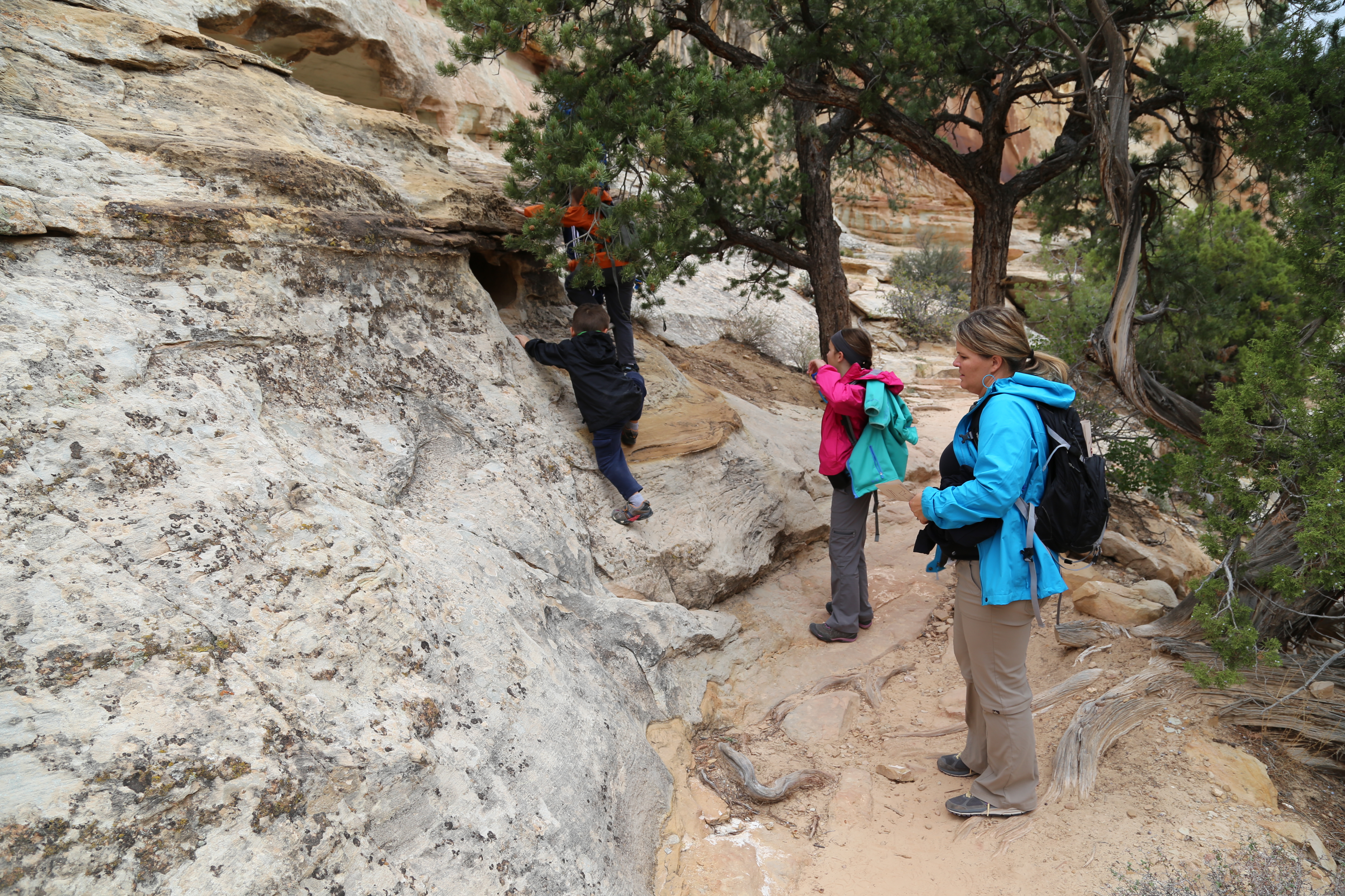 2015 Fall Break - Day 3 - Capitol Reef National Park (Gifford House Pies, Hickman Bridge Arch, Snakes Alive!, Picking Apples in the Fruita Pioneer Orchards, Goosenecks Overlook, Panorama Point), Eating Rattlesnakes at Cafe Diablo (Torrey, Utah)