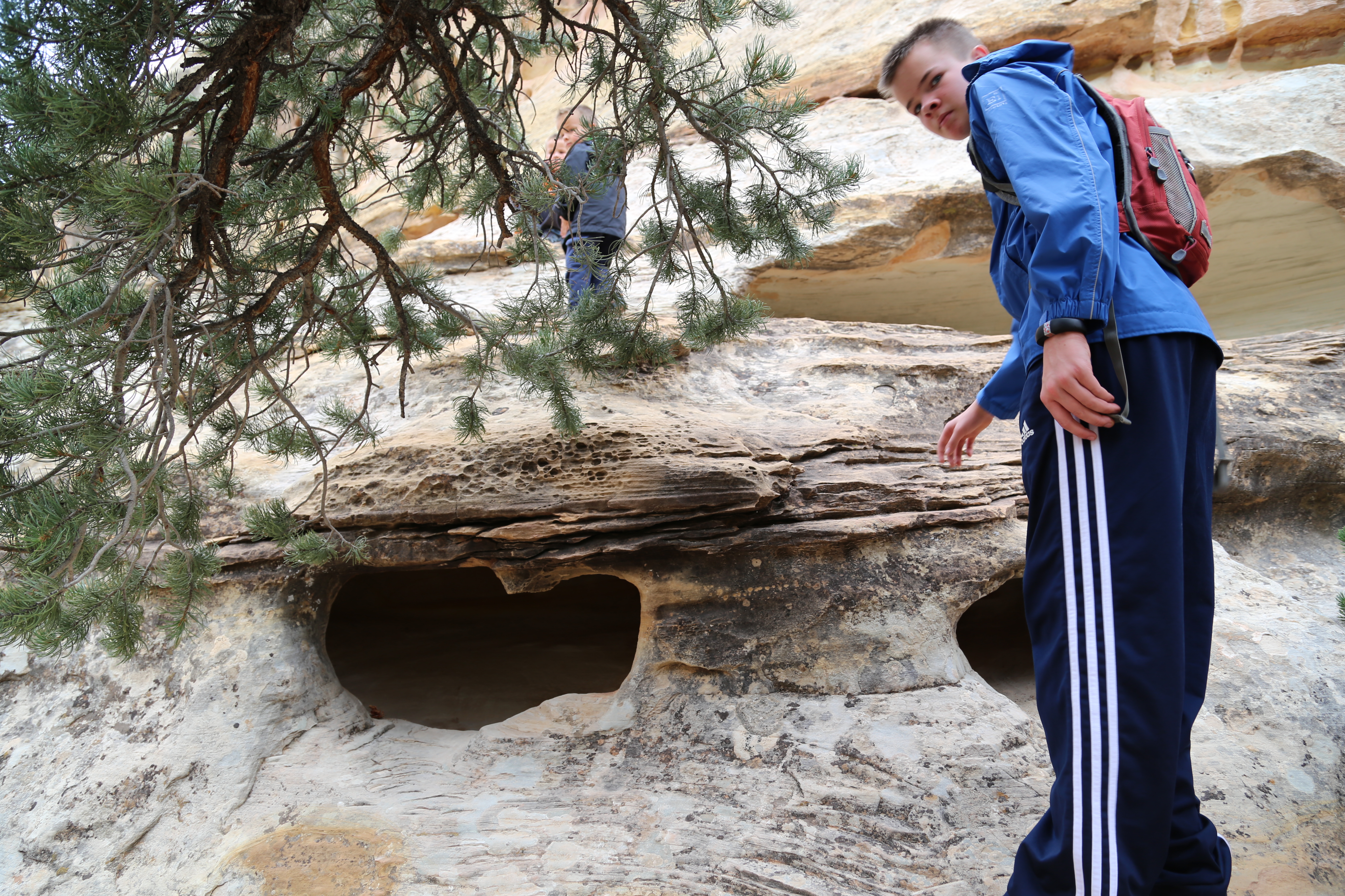 2015 Fall Break - Day 3 - Capitol Reef National Park (Gifford House Pies, Hickman Bridge Arch, Snakes Alive!, Picking Apples in the Fruita Pioneer Orchards, Goosenecks Overlook, Panorama Point), Eating Rattlesnakes at Cafe Diablo (Torrey, Utah)