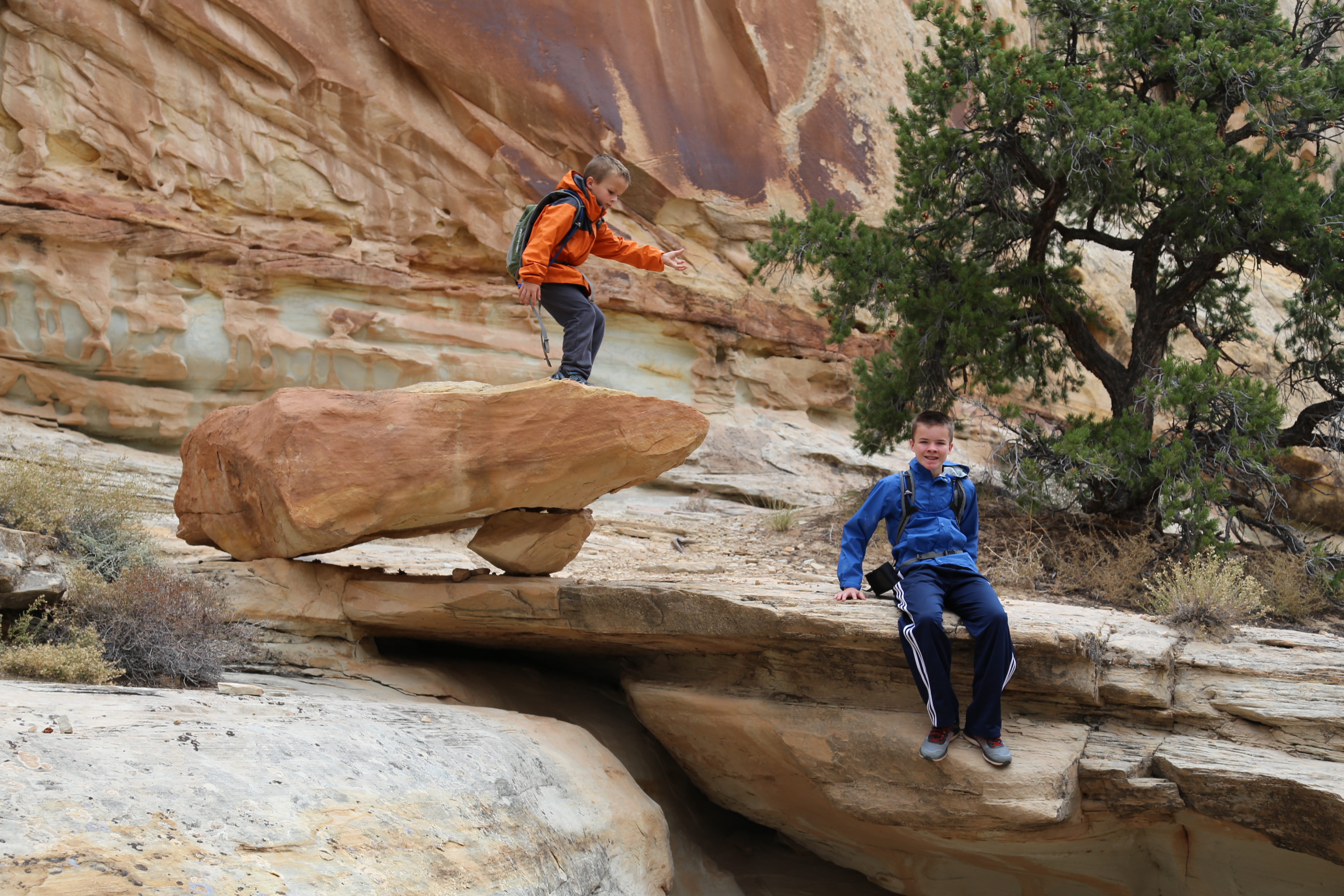 2015 Fall Break - Day 3 - Capitol Reef National Park (Gifford House Pies, Hickman Bridge Arch, Snakes Alive!, Picking Apples in the Fruita Pioneer Orchards, Goosenecks Overlook, Panorama Point), Eating Rattlesnakes at Cafe Diablo (Torrey, Utah)